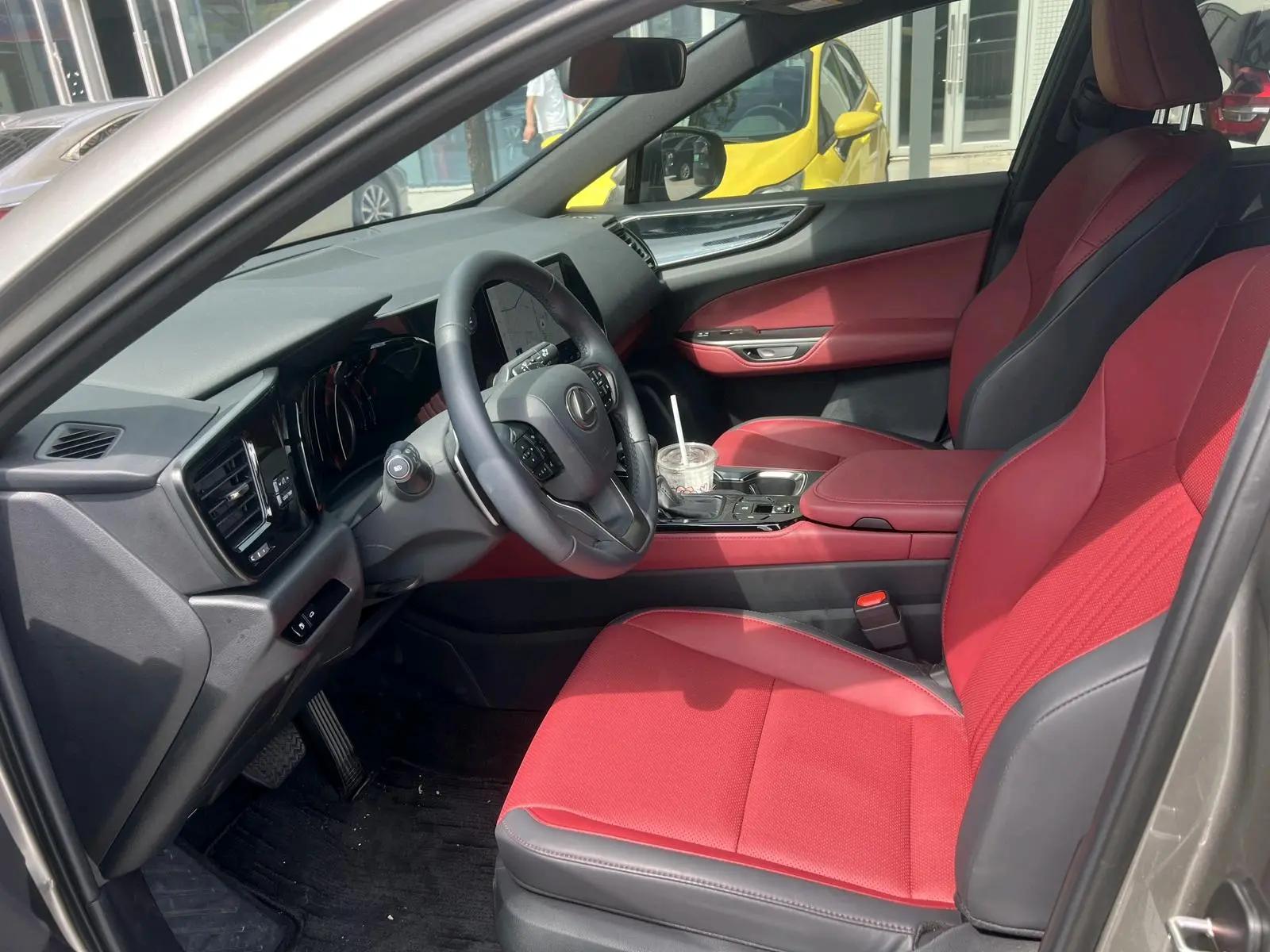 Lexus NX (imported) 2025 NX200 2.0 stepless FUN automatic gear 6