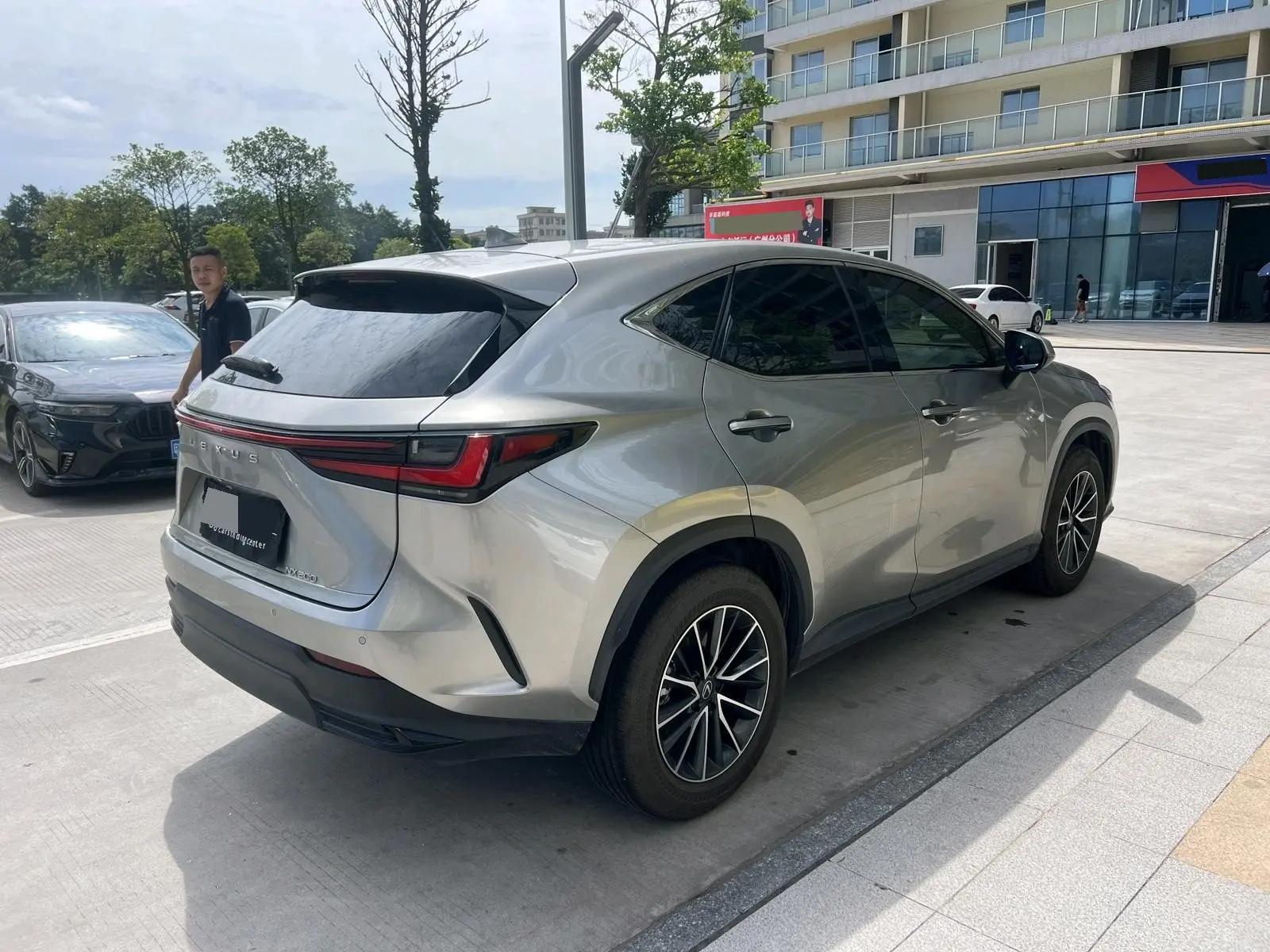 Lexus NX (imported) 2025 NX200 2.0 stepless FUN automatic gear 8
