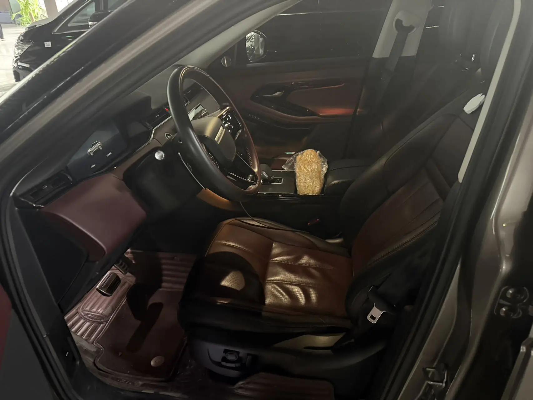 Range Rover Aurora 2024 Aurora L 249PS Condensing Limited Edition 3