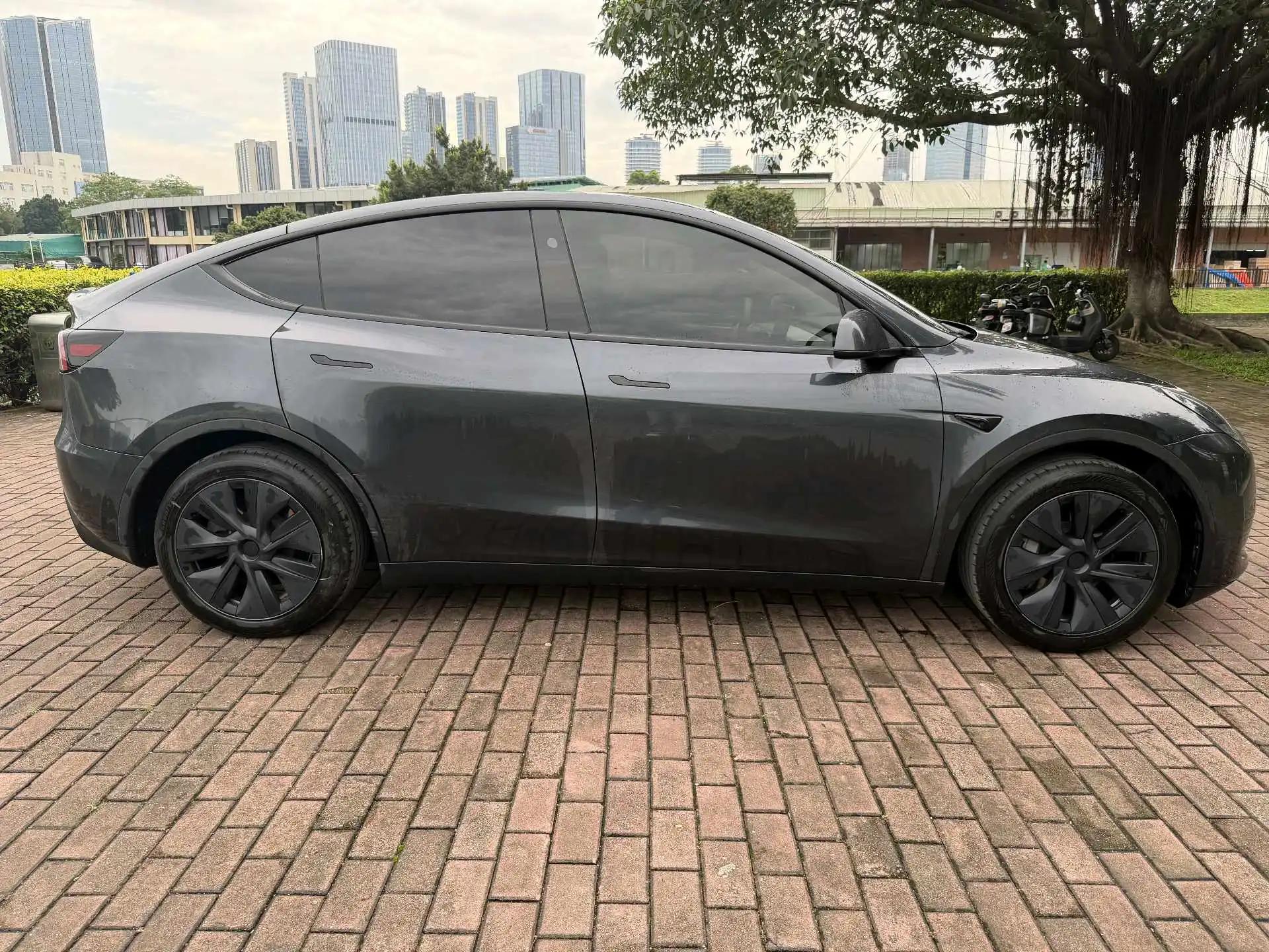 2024 Model Y Rear-Wheel Drive Edition 10