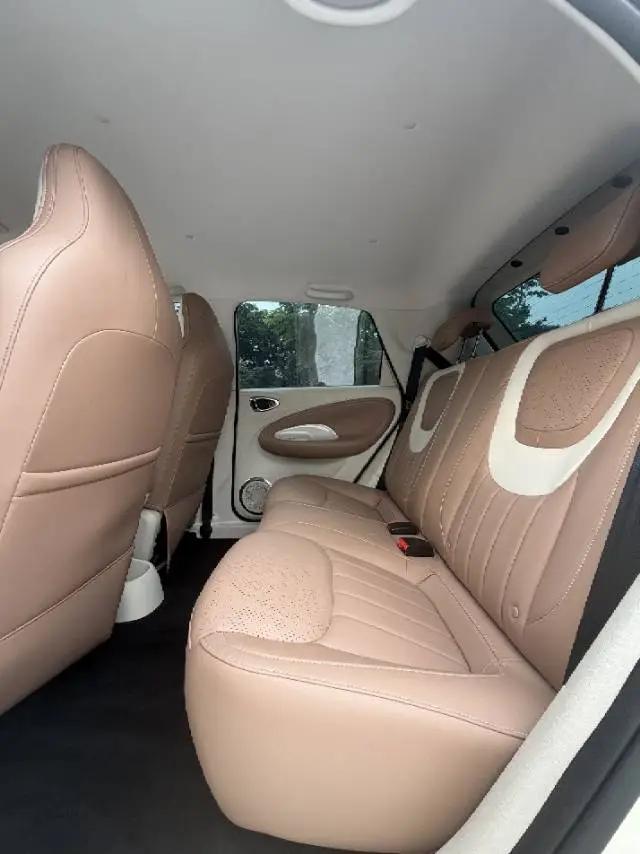 WuLing Plantronics 2024 333km LingBox Connected 6