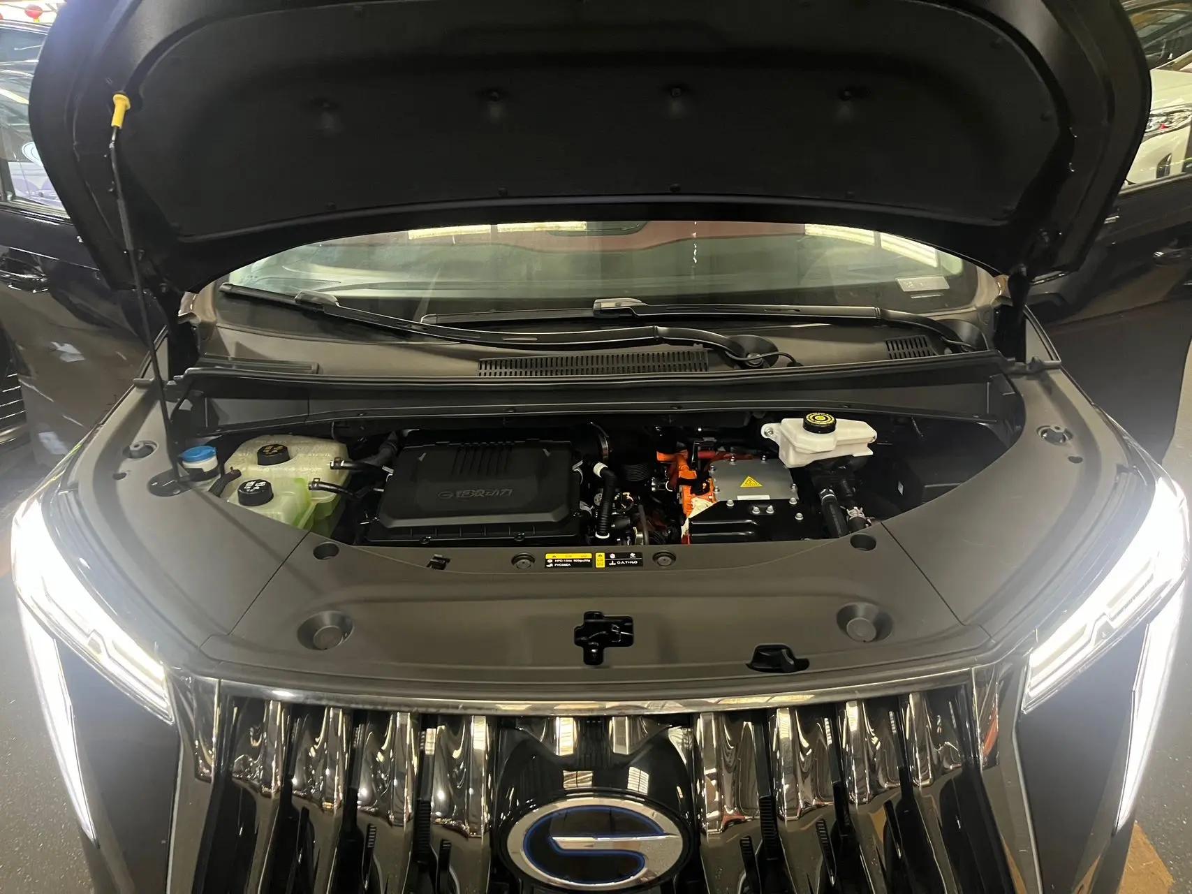 Chuanqi M8 New Energy 2024 2.0TM Plug-in Hybrid Basic Model 8