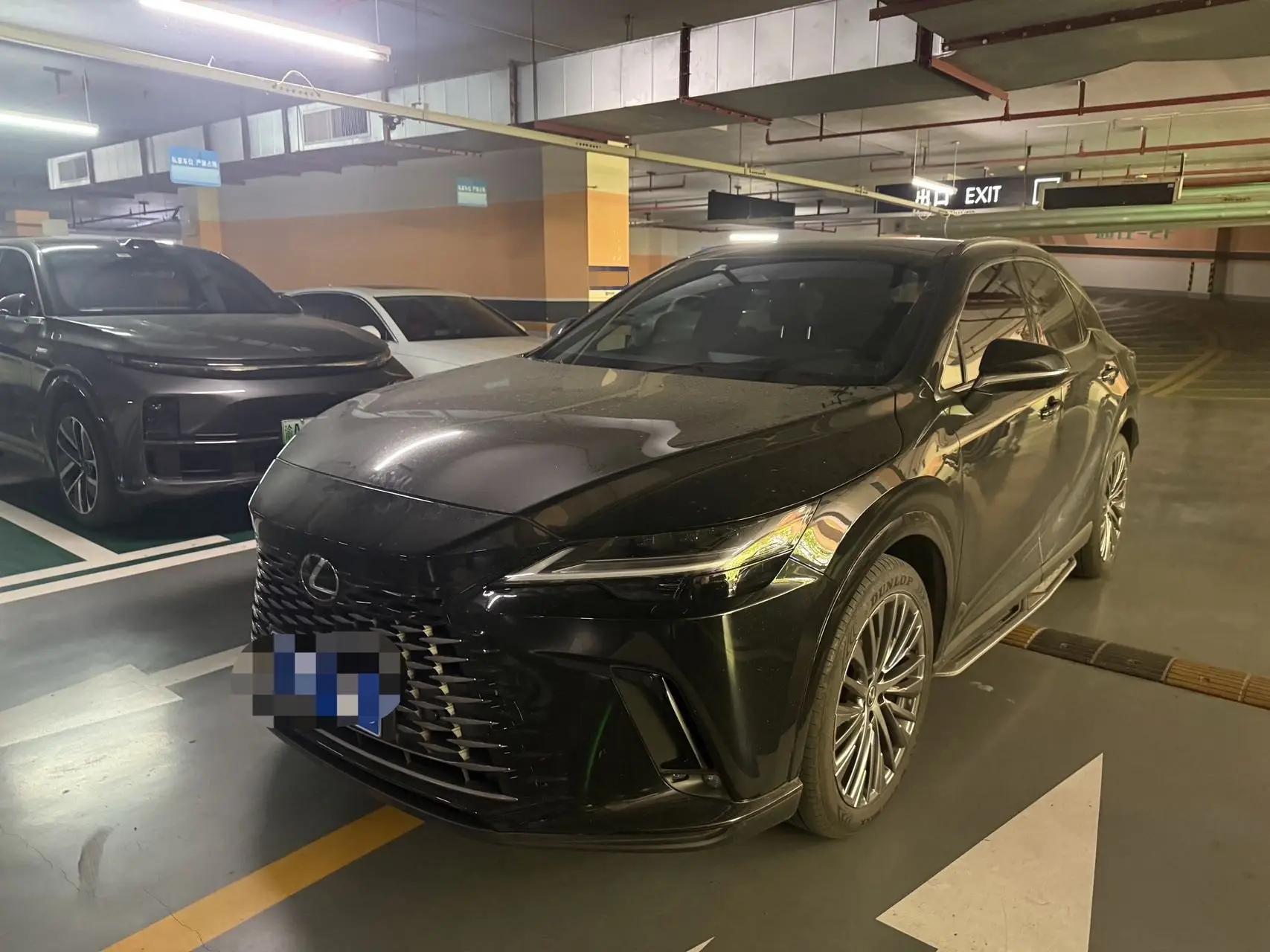 Lexus RX 2023 350h 4-wheel drive alcohol version