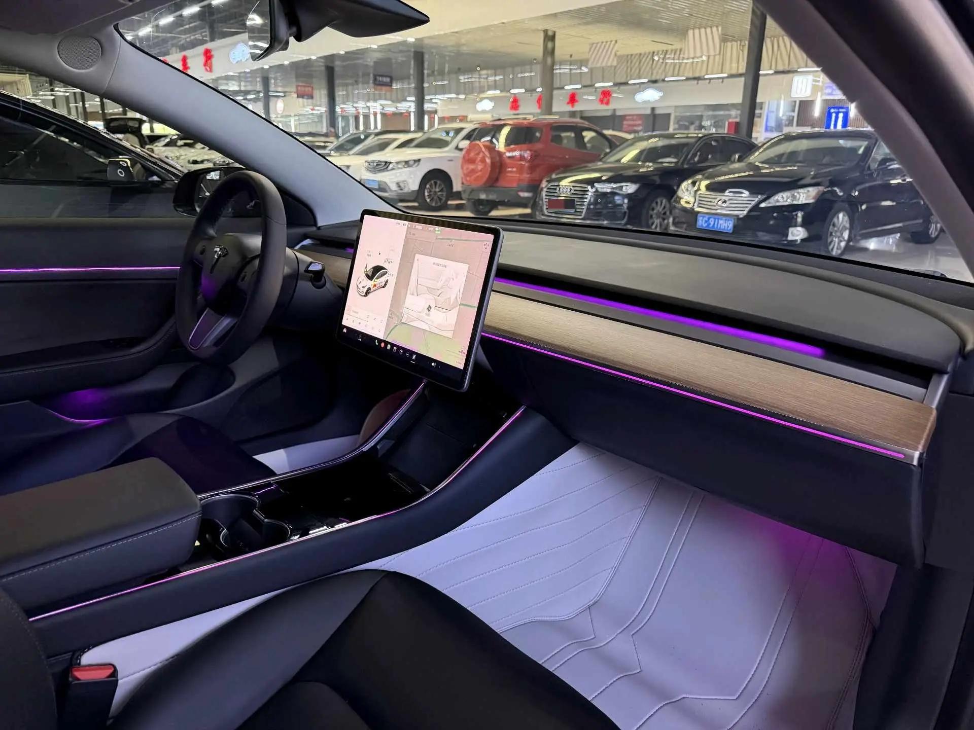 Model 3 2019 Standard Endurance Rear Drive Upgrade 4