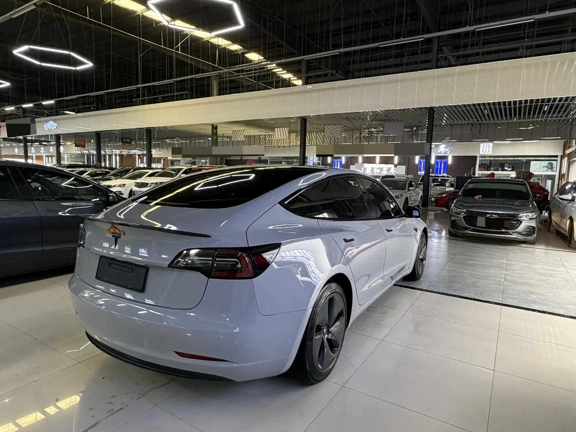 Model 3 2019 Standard Endurance Rear Drive Upgrade 8