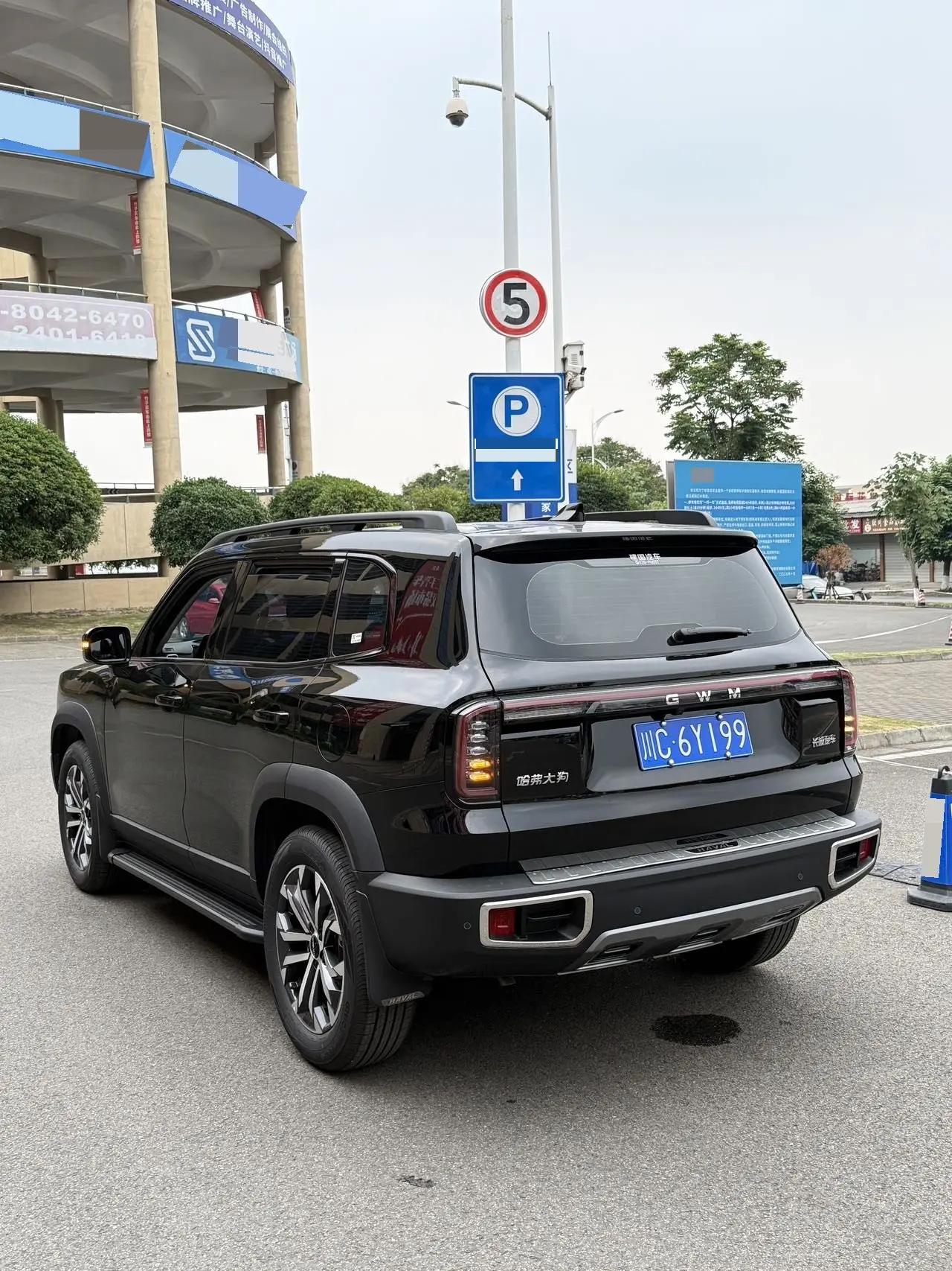 Haval 2024 Dog 1.5T Border Collie Edition Automatic 2