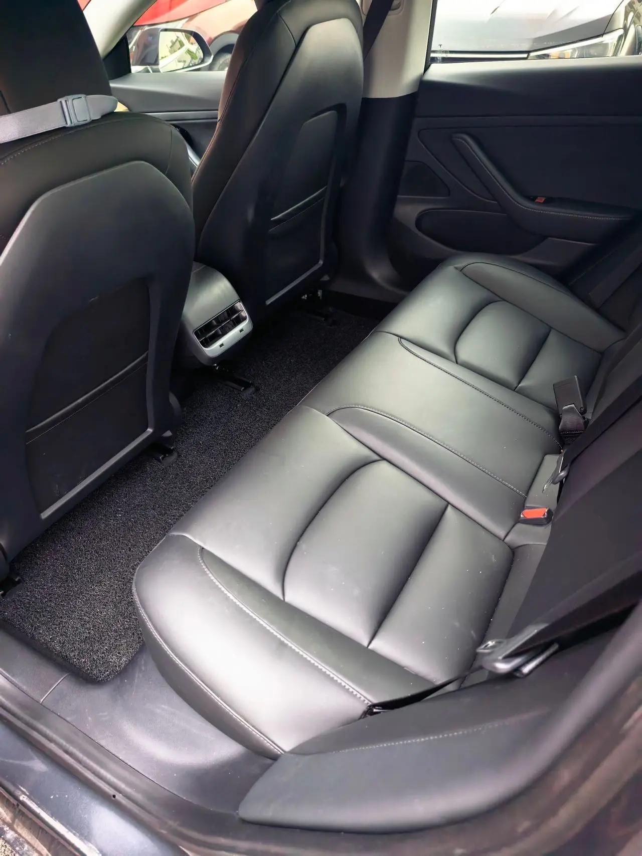Model 3 2019 Standard Endurance Rear Drive Upgrade 4