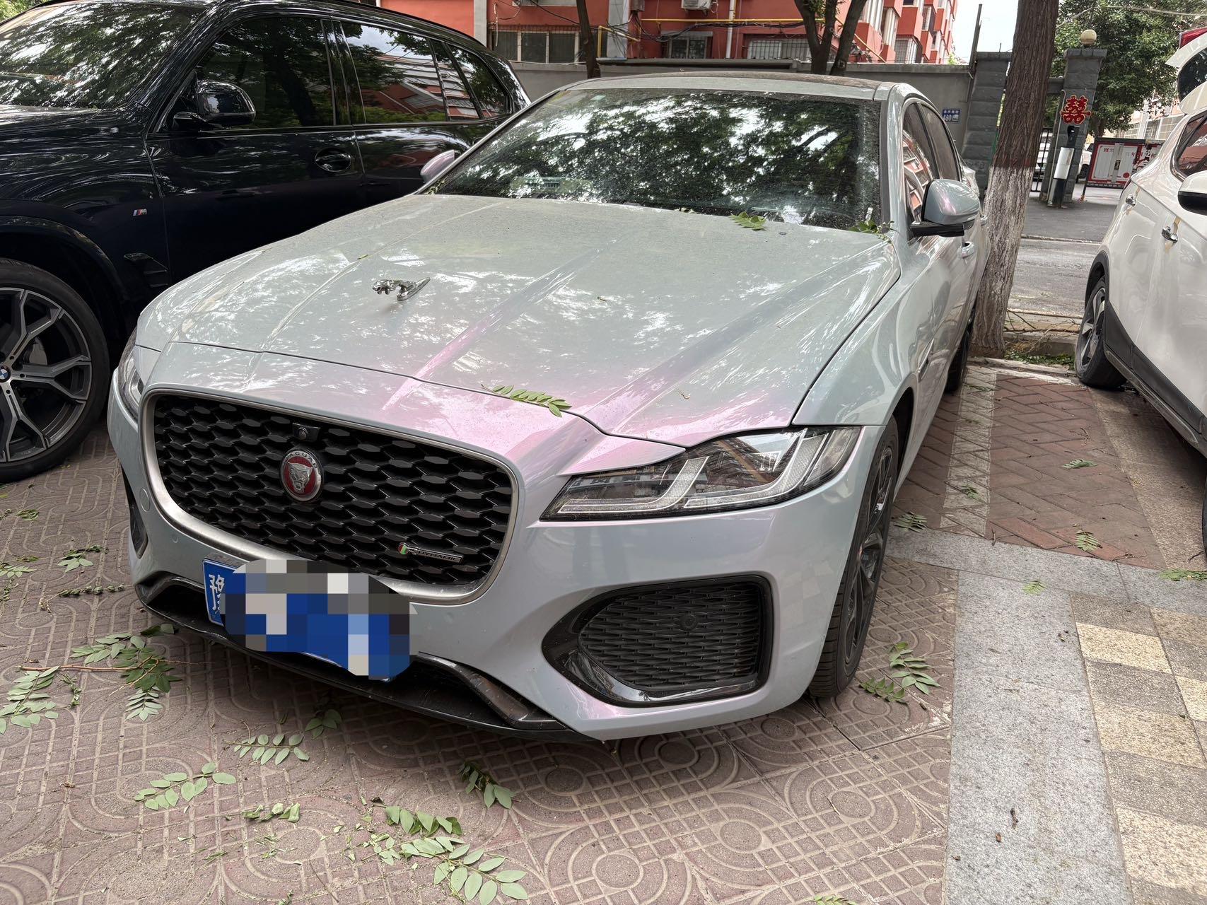 Открыть галерею: Jaguar XFL 2022 XFL 2.0T P 12500.00g Drive Elite Sports Edition