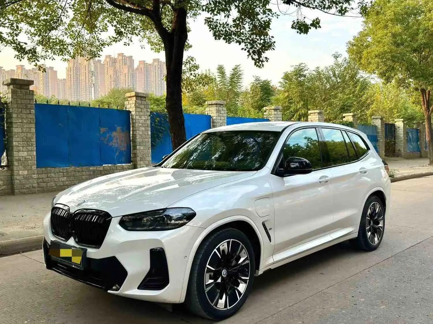 BMW iX3 2022 Leading Type