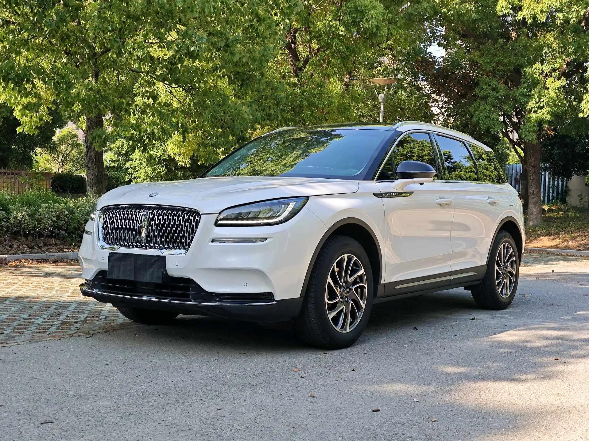 Adventurer 2021 2.0T Two-Drive Premium Edition