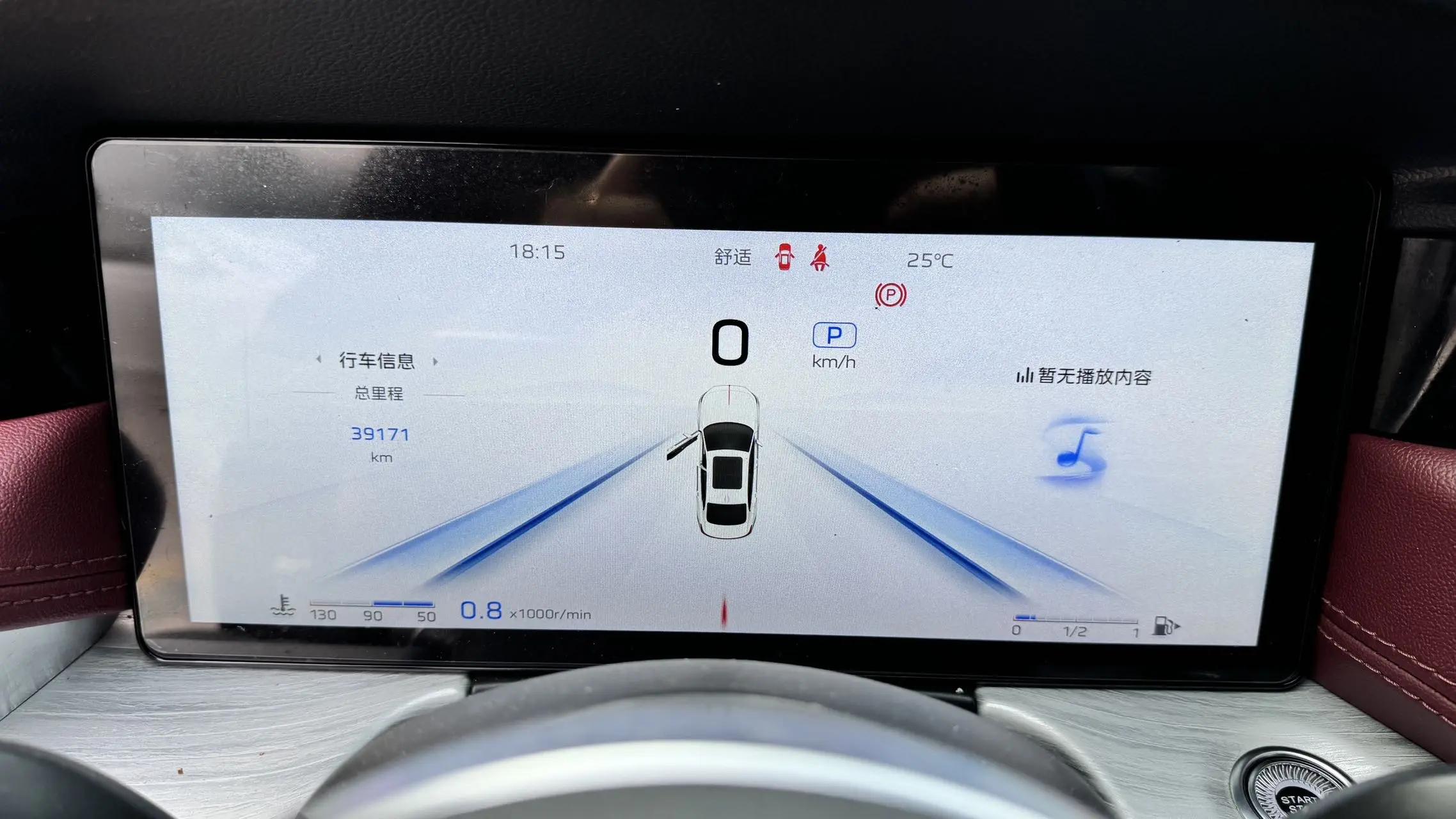HongQi H5 2024 2.0T Auto Zhilian Flag Chang Edition 8