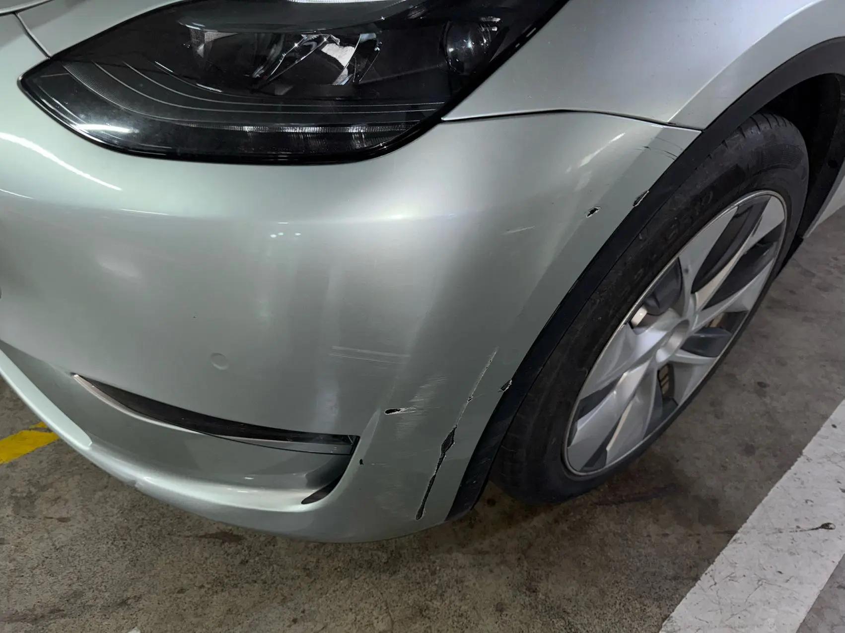 Model Y 2021 Standard Endurance Rear Drive Edition 5