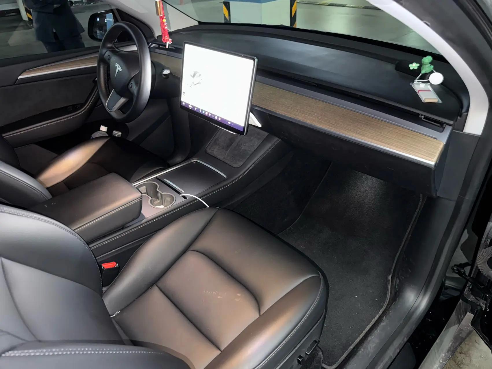 Model Y 2021 Standard Endurance Rear Drive Edition 6
