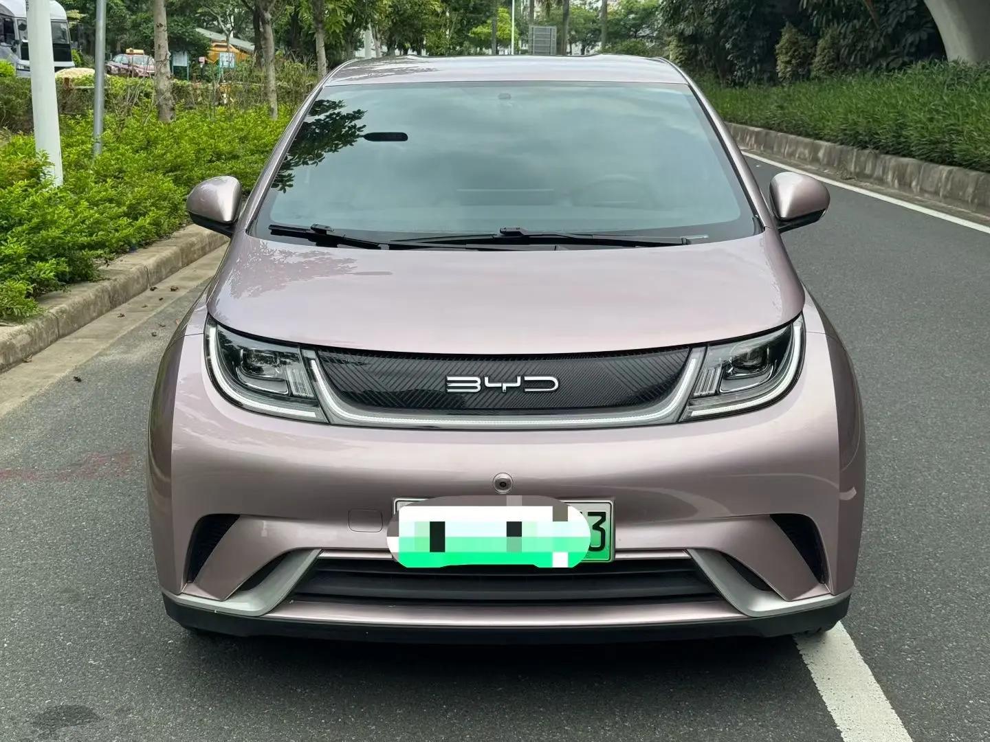 BYD 2023 Dolphin 420km Freedom Edition Automatic 2