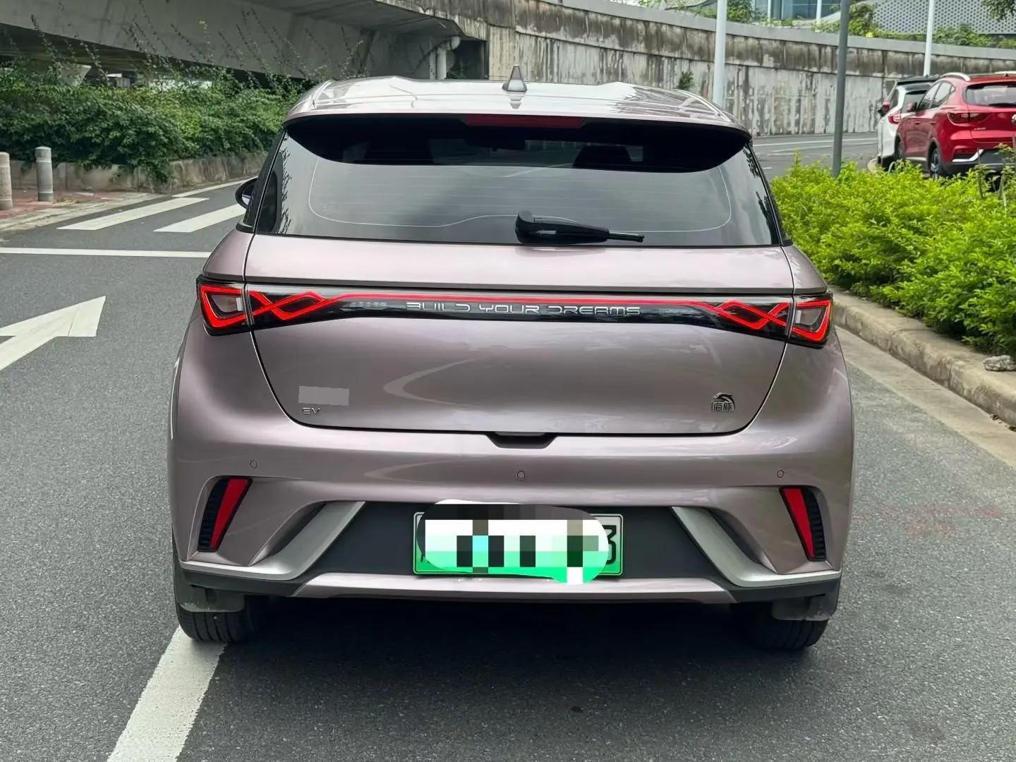 BYD 2023 Dolphin 420km Freedom Edition Automatic 4