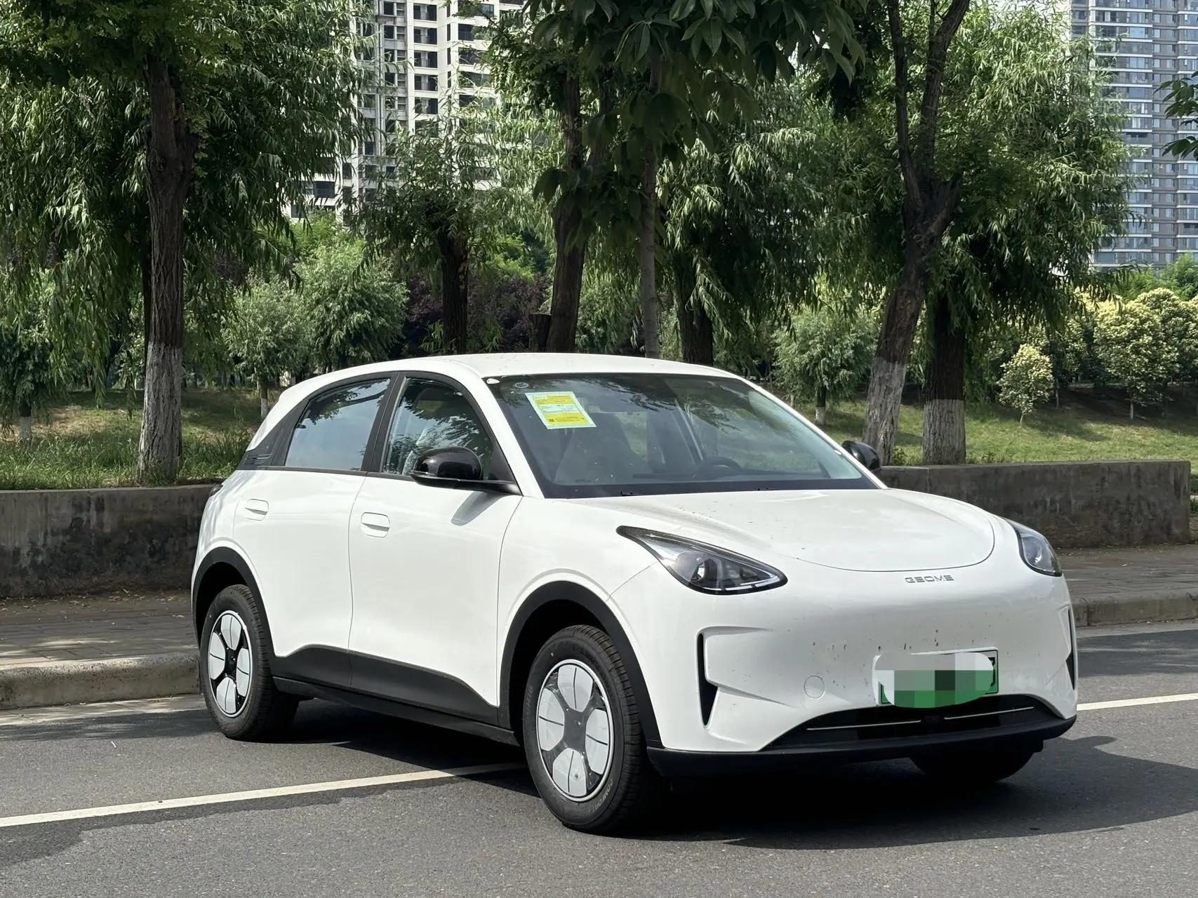 Star Wish 2026 310km Youth Edition 2