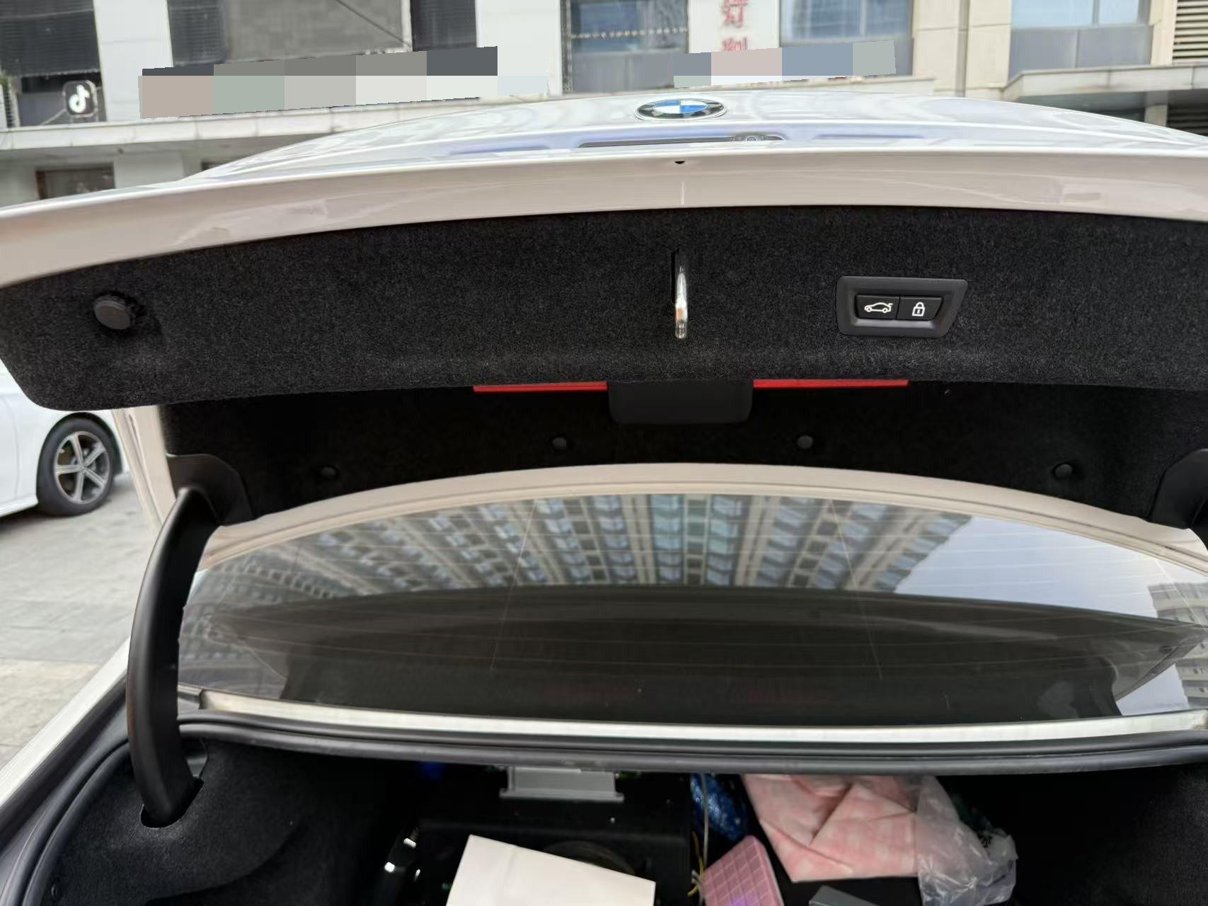 BMW 3 Series 2021 Changed 325Li M Sports Obsidian Night Suit 5