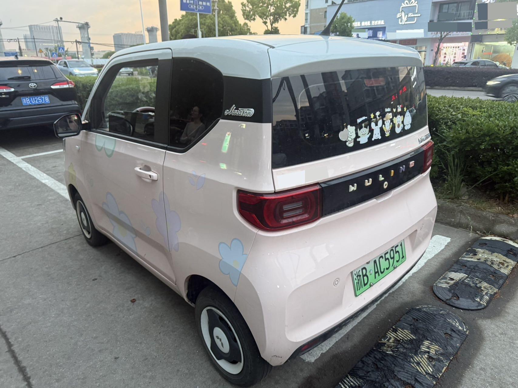 Hongguang MINIEV 2022 macaron painted ternary lithium 2