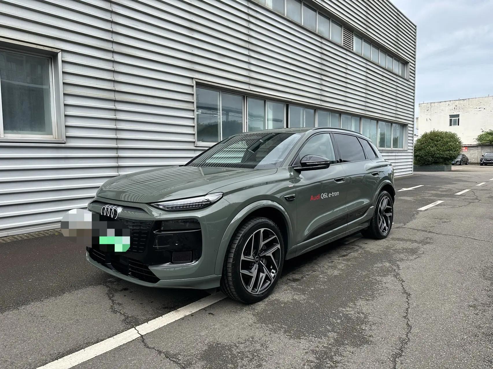 Audi 2025 Q6L e-tron Long Endurance Edition Automatic Gear
