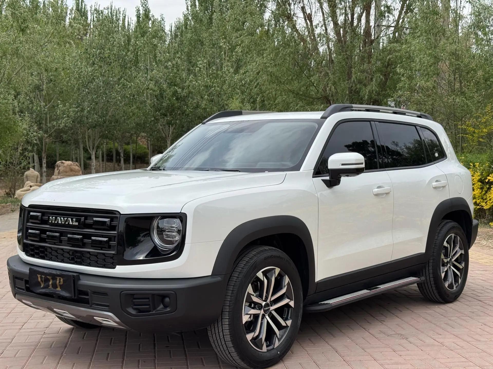 Haval 2024 Dog 1.5T Labrador Edition Automatic