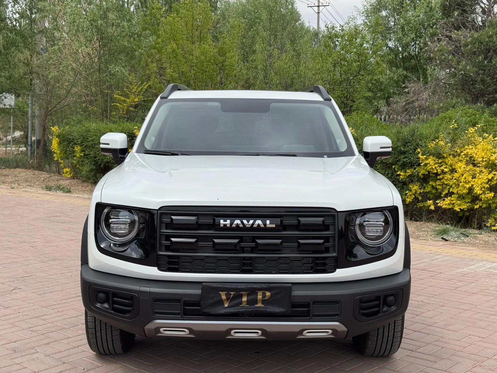 Haval 2024 Dog 1.5T Labrador Edition Automatic 3