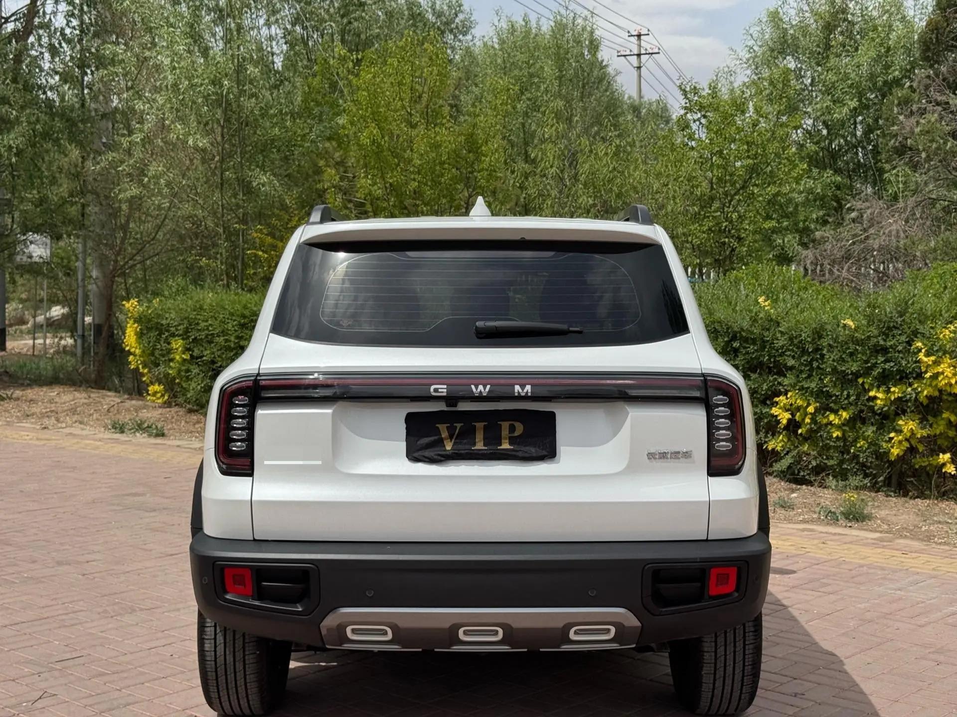 Haval 2024 Dog 1.5T Labrador Edition Automatic 7