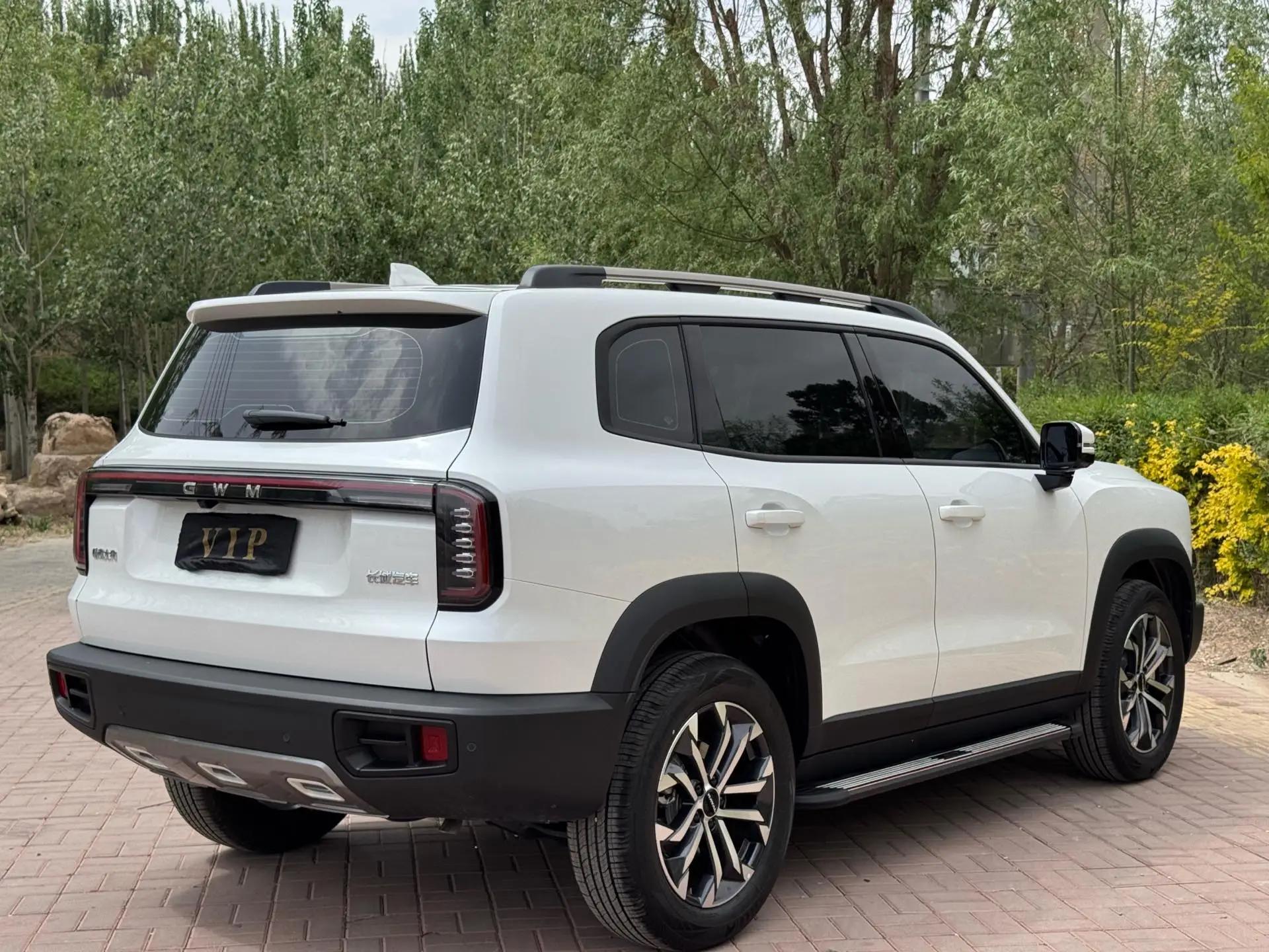 Haval 2024 Dog 1.5T Labrador Edition Automatic 8