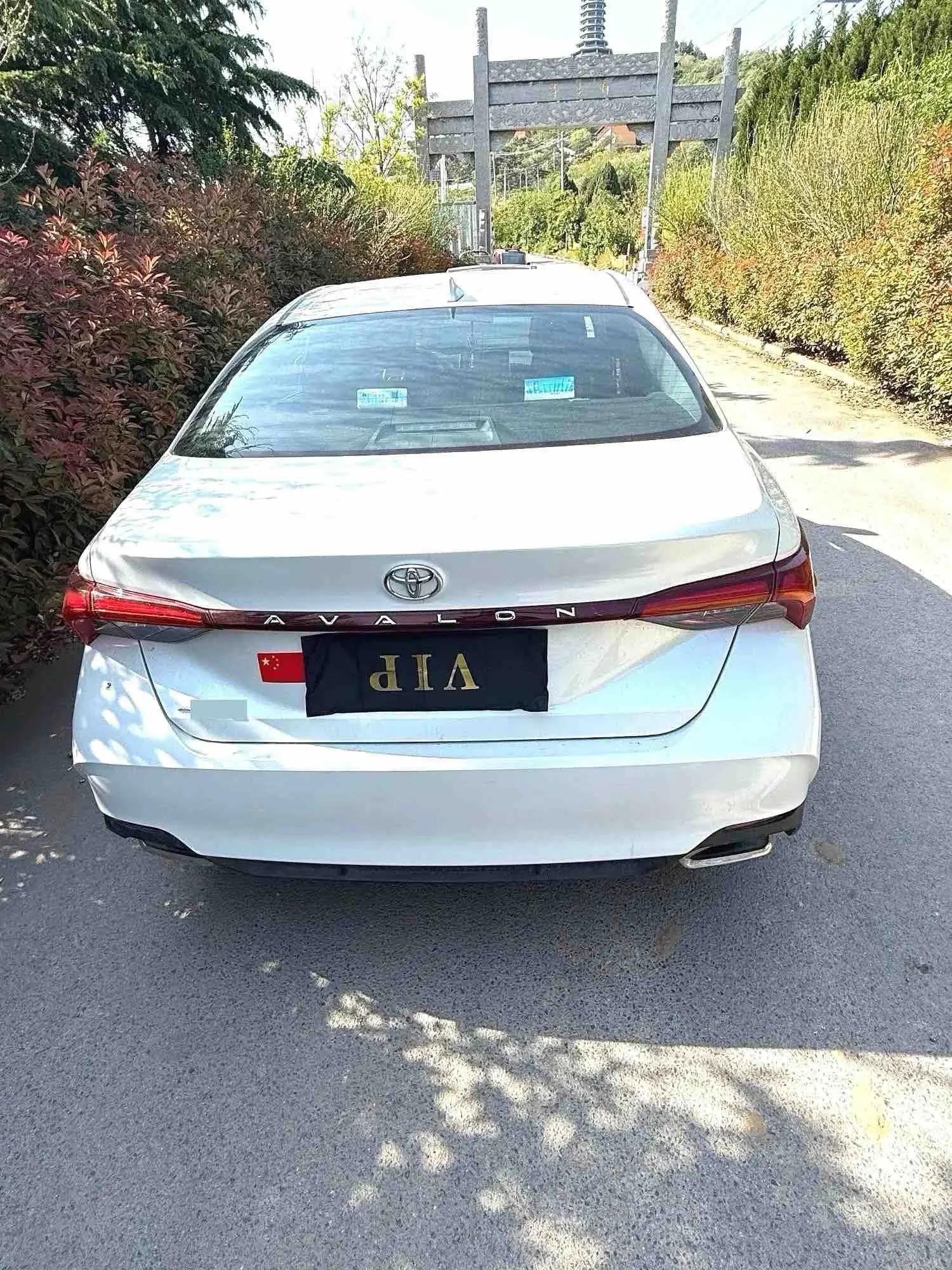 Asian Dragon 2022 2.0L Enterprising Edition 3