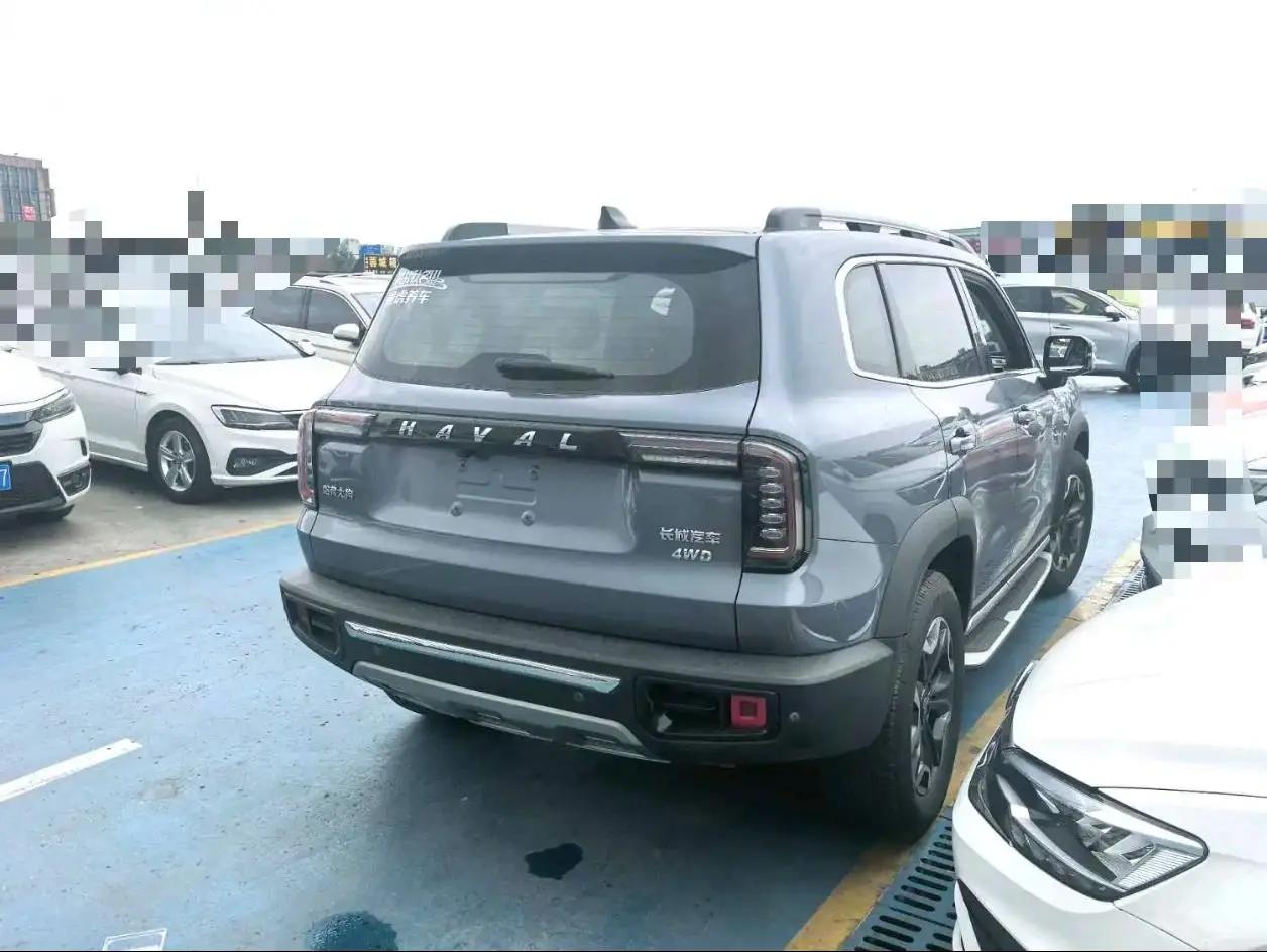 Haval Big Dog 2022 2.0T DCT Four-wheel Drive Chinese Garden Dog Edition 3