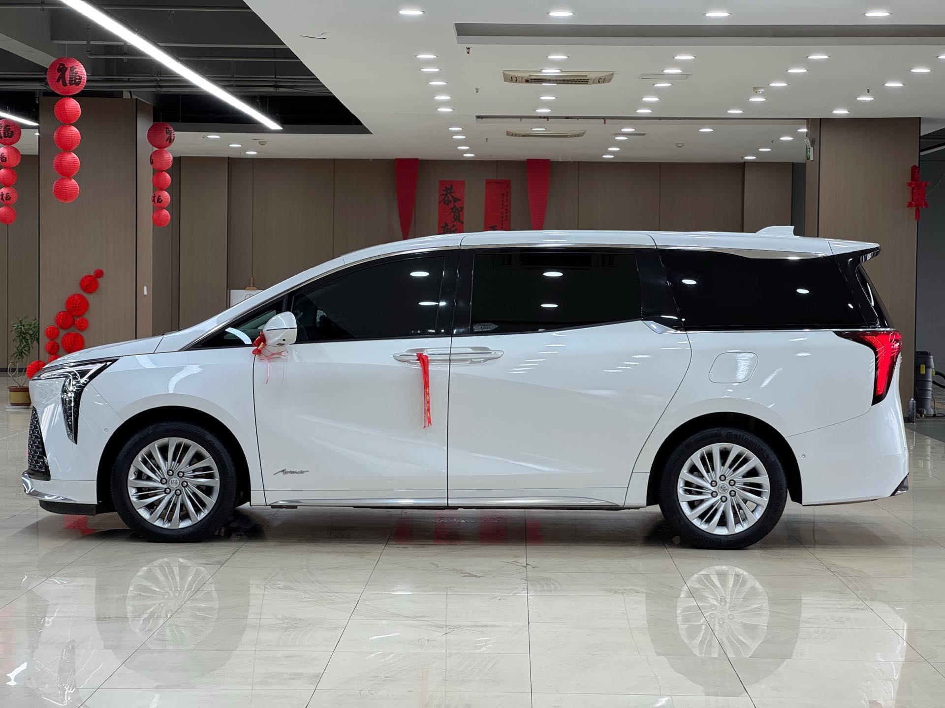 Century 2023 2.0T Six-seat World Edition 3