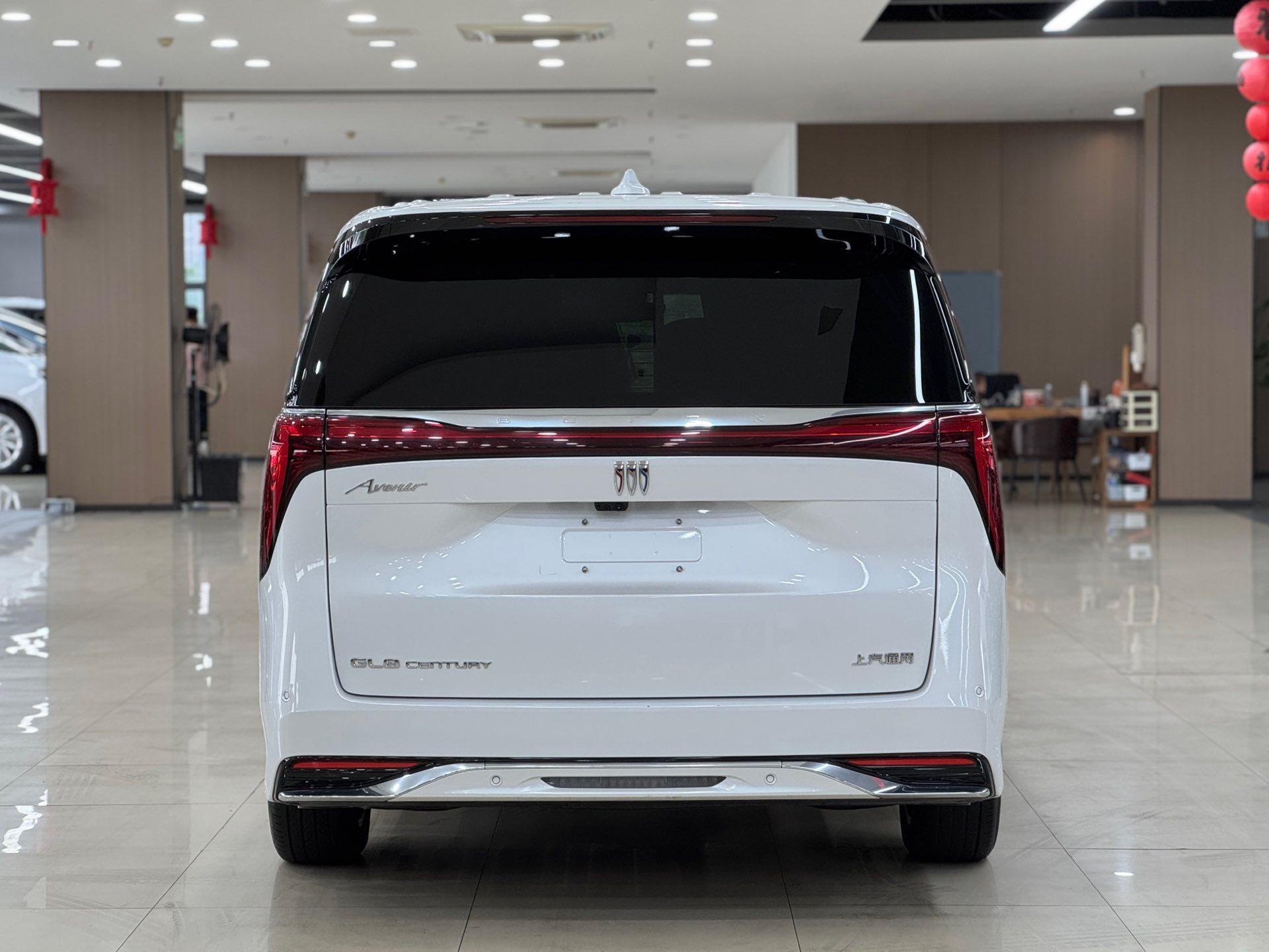 Century 2023 2.0T Six-seat World Edition 5