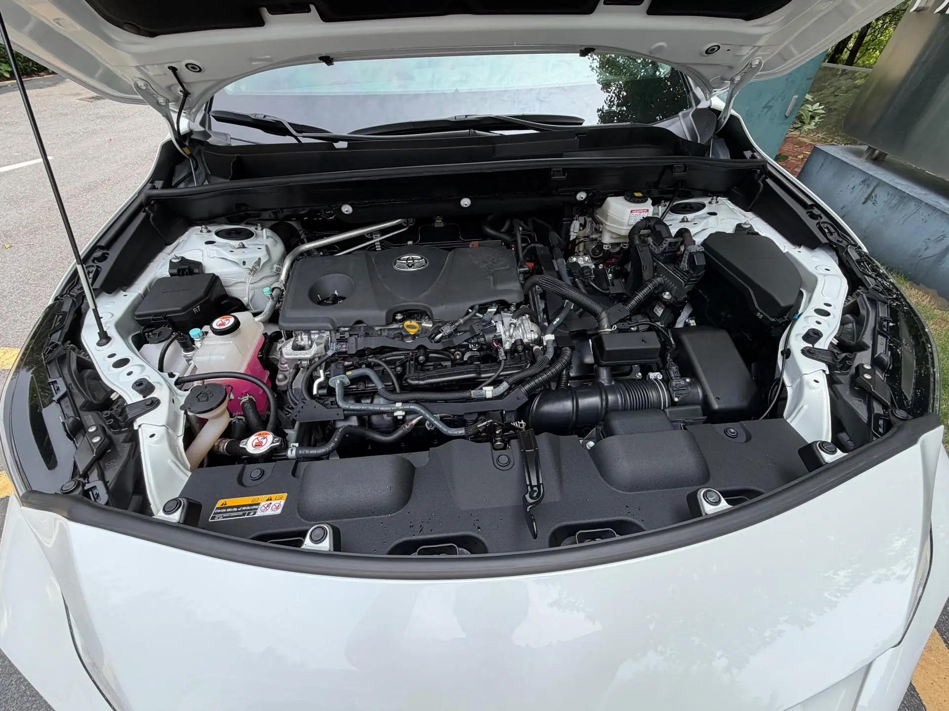 Wei Sa 2022 Dual Engine 2.5L CVT Two-Drive Premium Edition 13