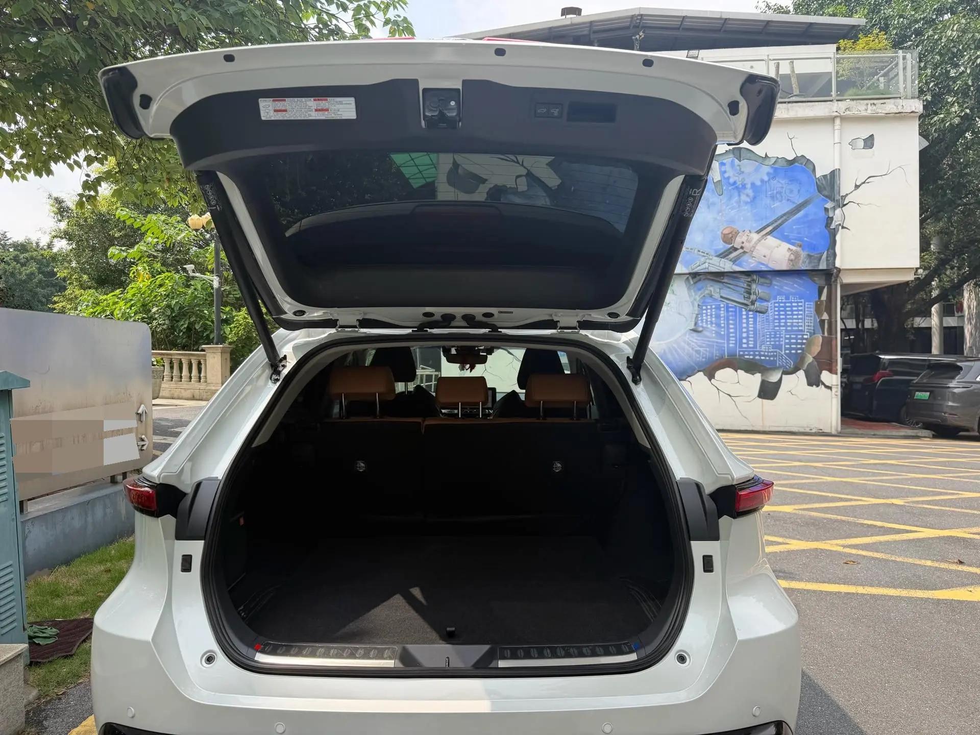 Wei Sa 2022 Dual Engine 2.5L CVT Two-Drive Premium Edition 7