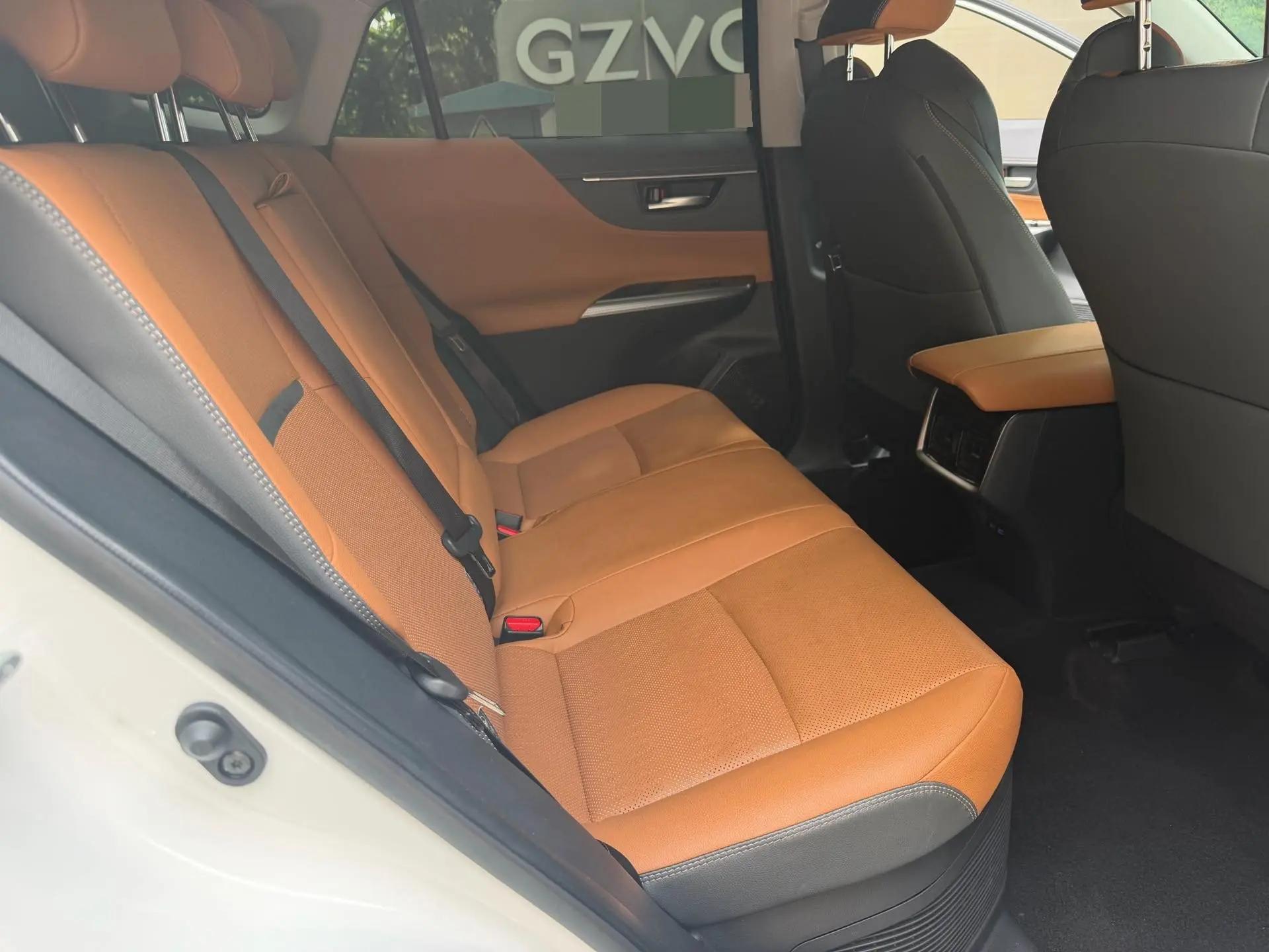 Wei Sa 2022 Dual Engine 2.5L CVT Two-Drive Premium Edition 8