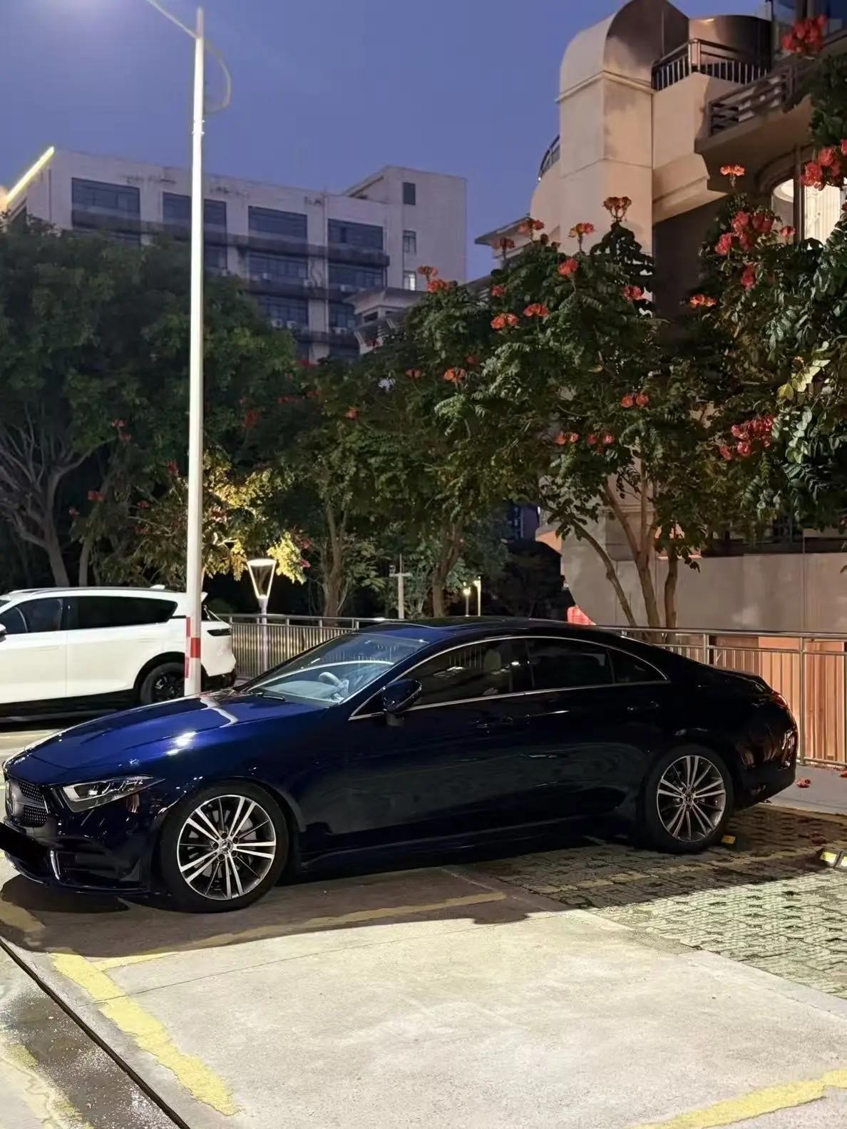 Mercedes Benz CLS 2021 CLS 300 Luxury