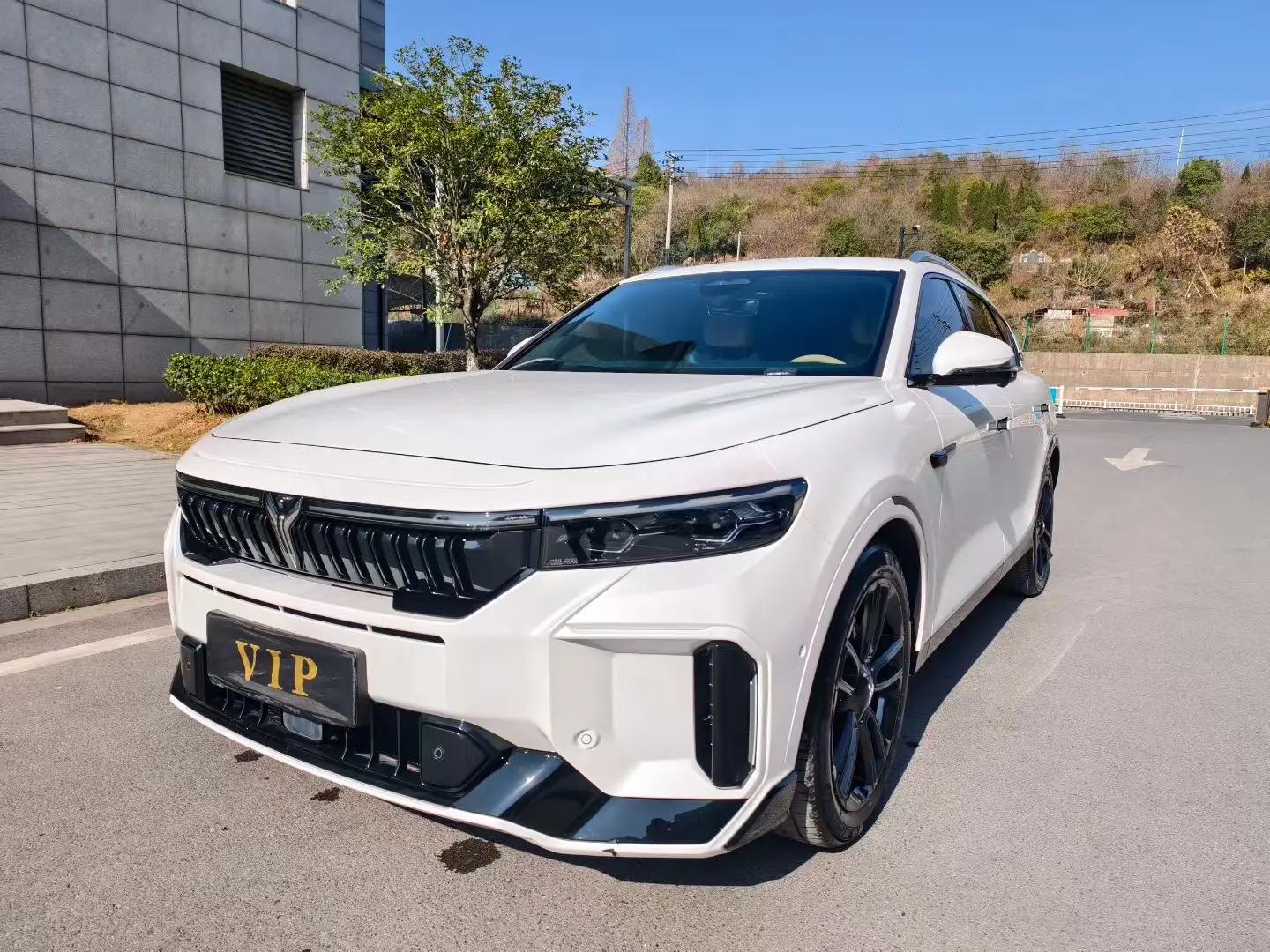 Voyah FREE 2021 Two-Drive Pure Electric First Commemorative Edition