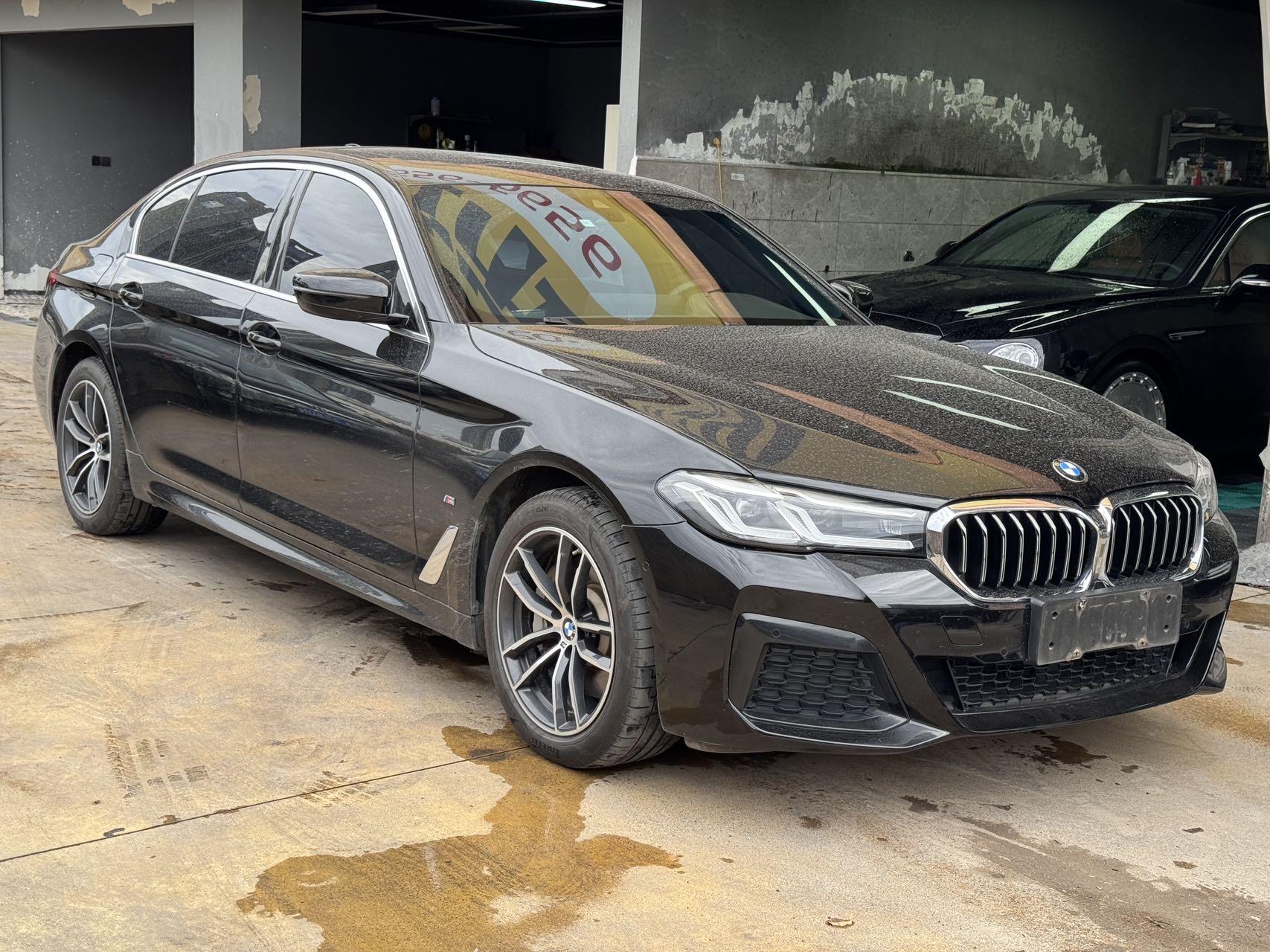 BMW 5 New Energy 2021 535Le Deluxe Suit 3