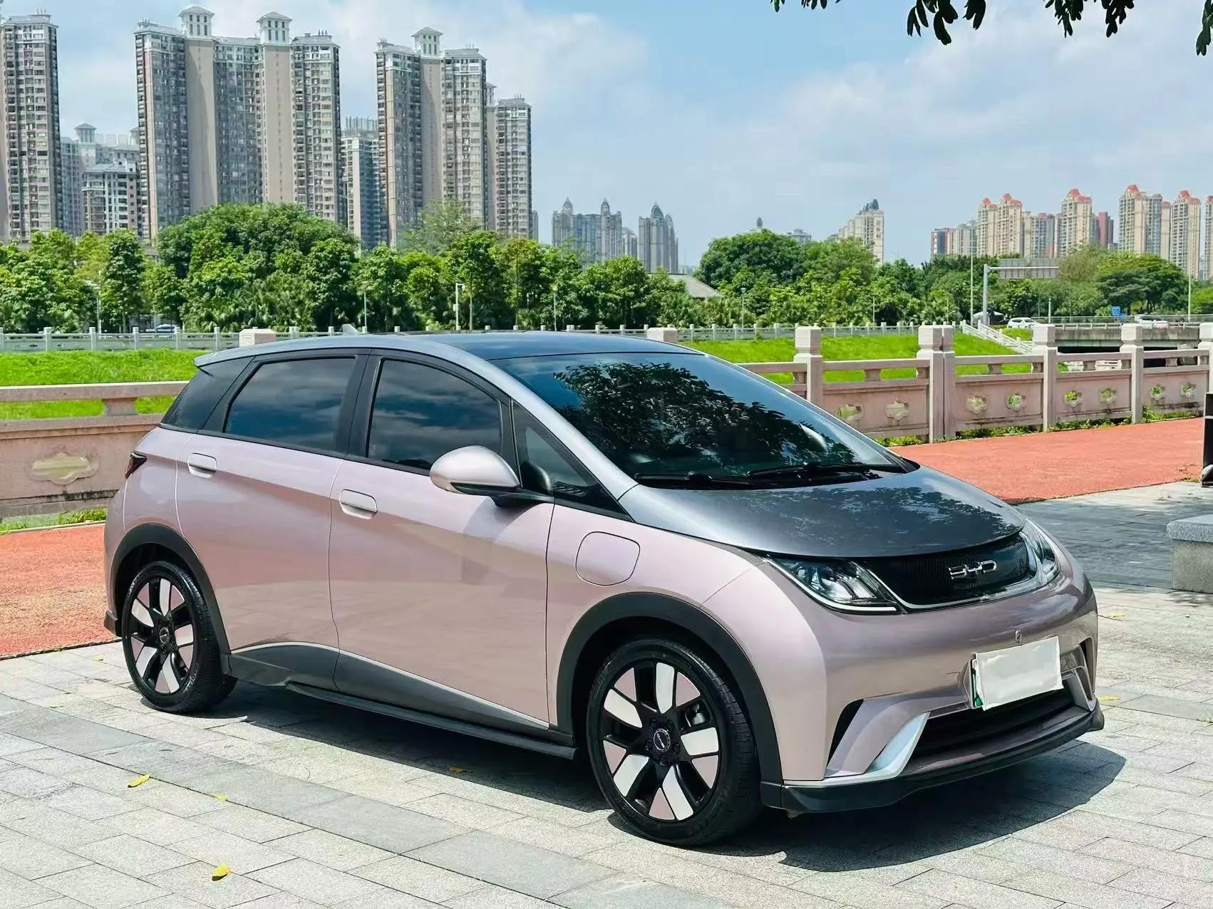 Dolphin 2021 401km Knight Edition 3