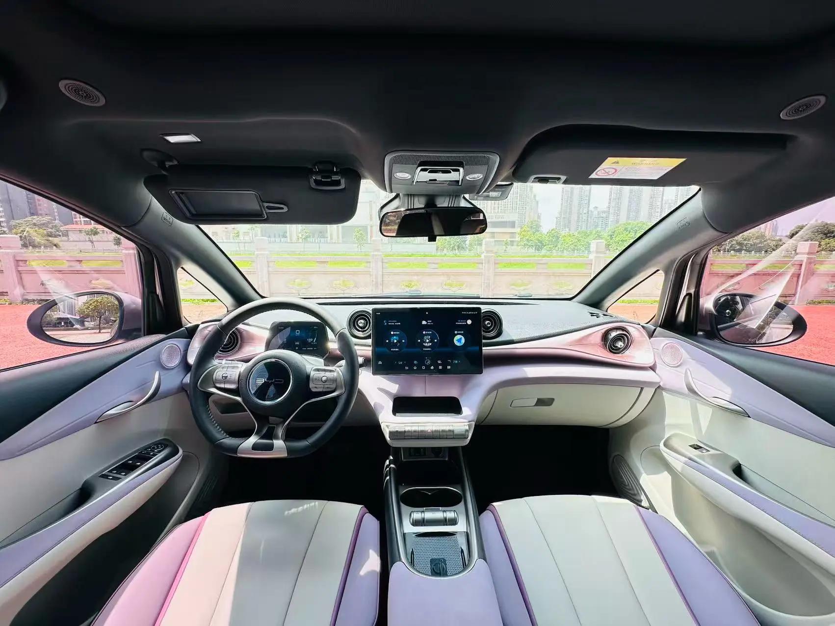 Dolphin 2021 401km Knight Edition 5