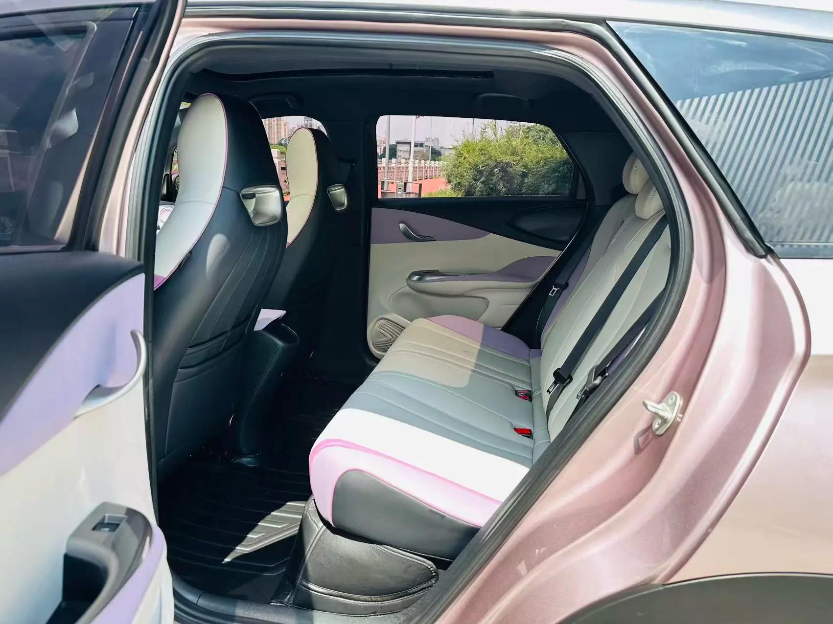 Dolphin 2021 401km Knight Edition 6