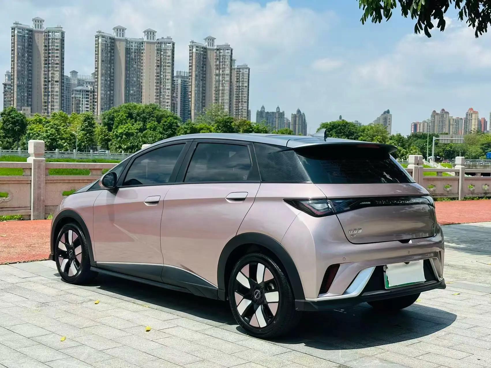Dolphin 2021 401km Knight Edition 7