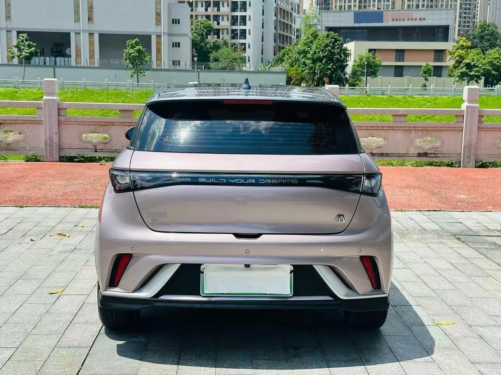 Dolphin 2021 401km Knight Edition 8