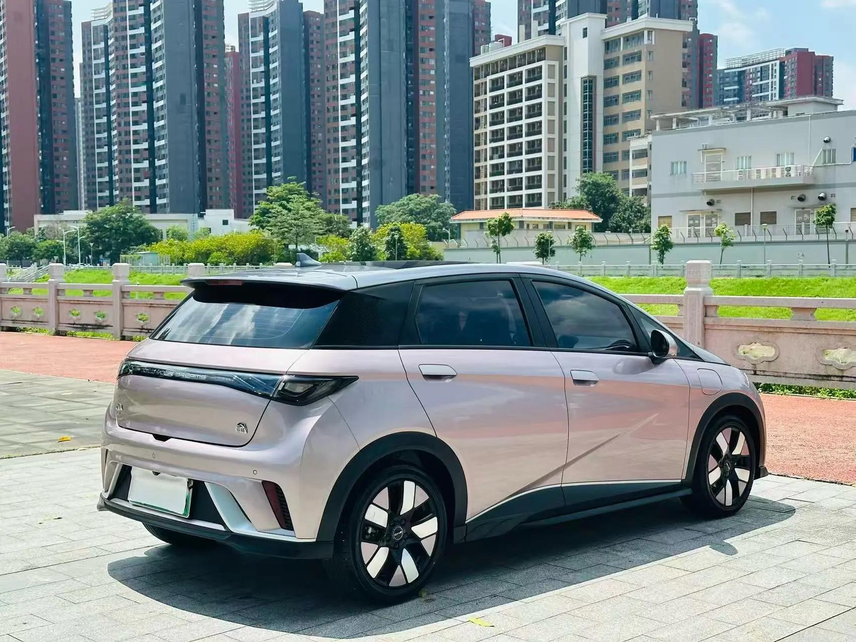 Dolphin 2021 401km Knight Edition 9