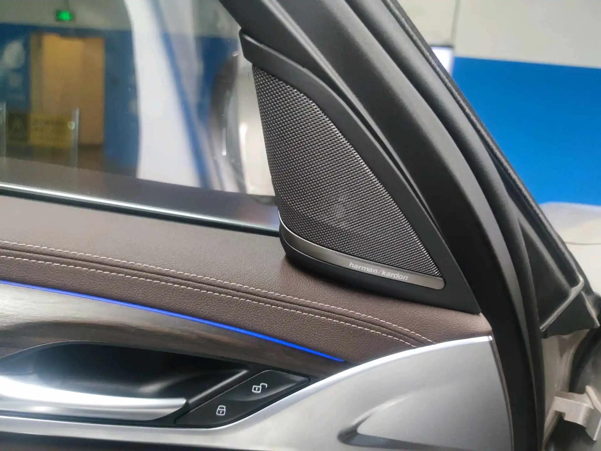 BMW 5 New Energy 2020 Mileage Upgrade 530Le Pioneer Edition 3