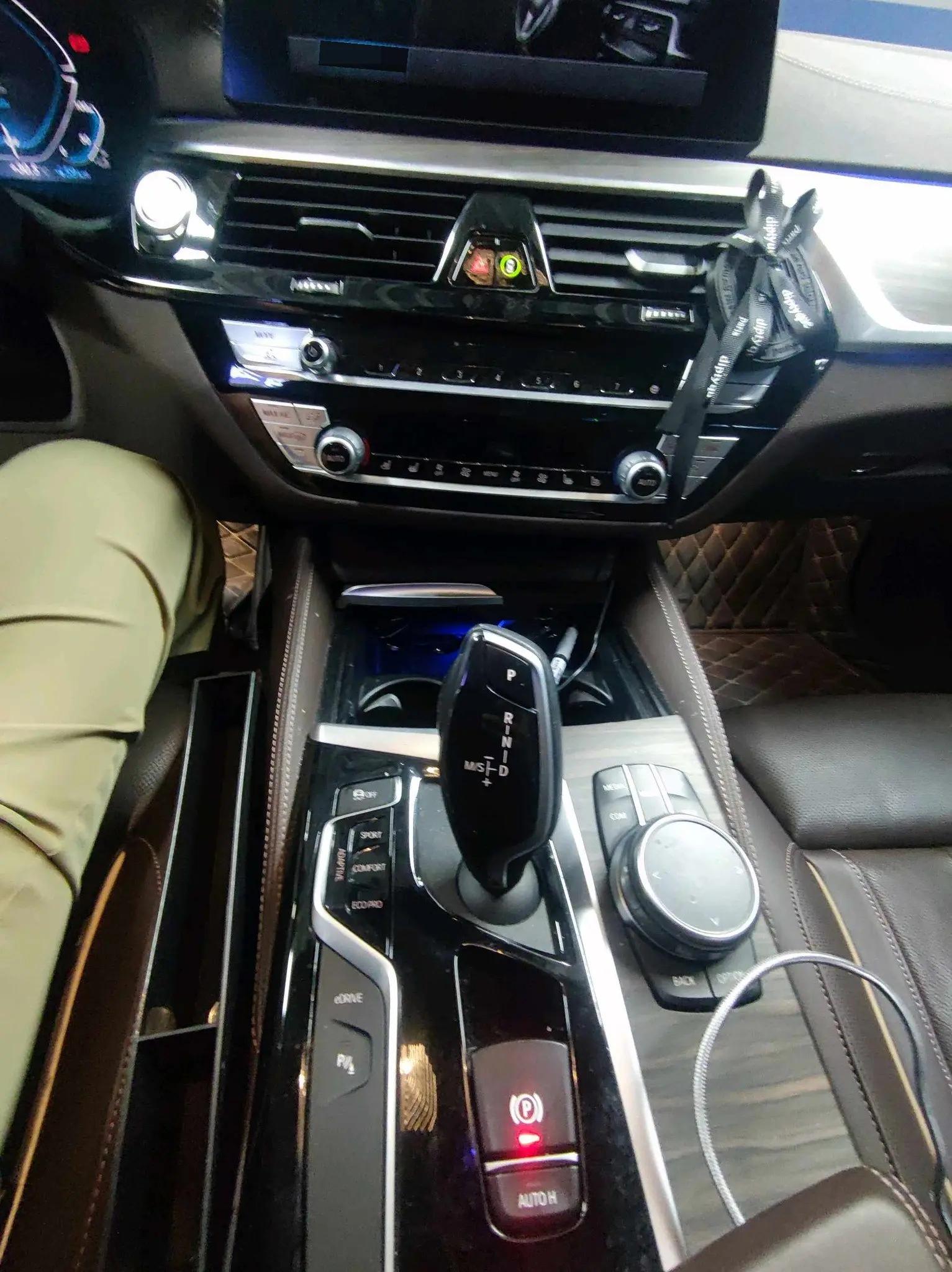 BMW 5 New Energy 2020 Mileage Upgrade 530Le Pioneer Edition 5
