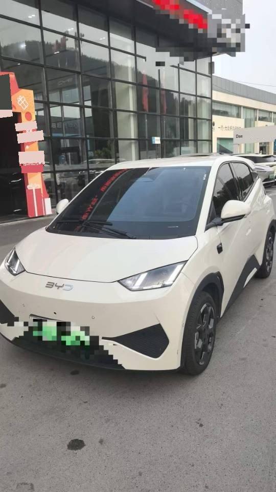 Open image lightbox: BYD 2025 Seagull Intelligent Driving Version 305km Free Edition Automatic