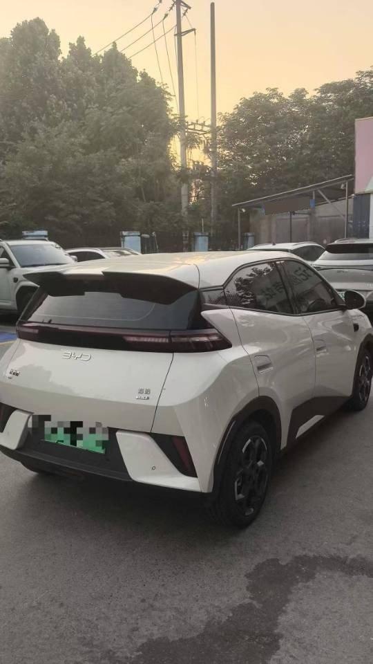 BYD 2025 Seagull Intelligent Driving Version 305km Free Edition Automatic 2