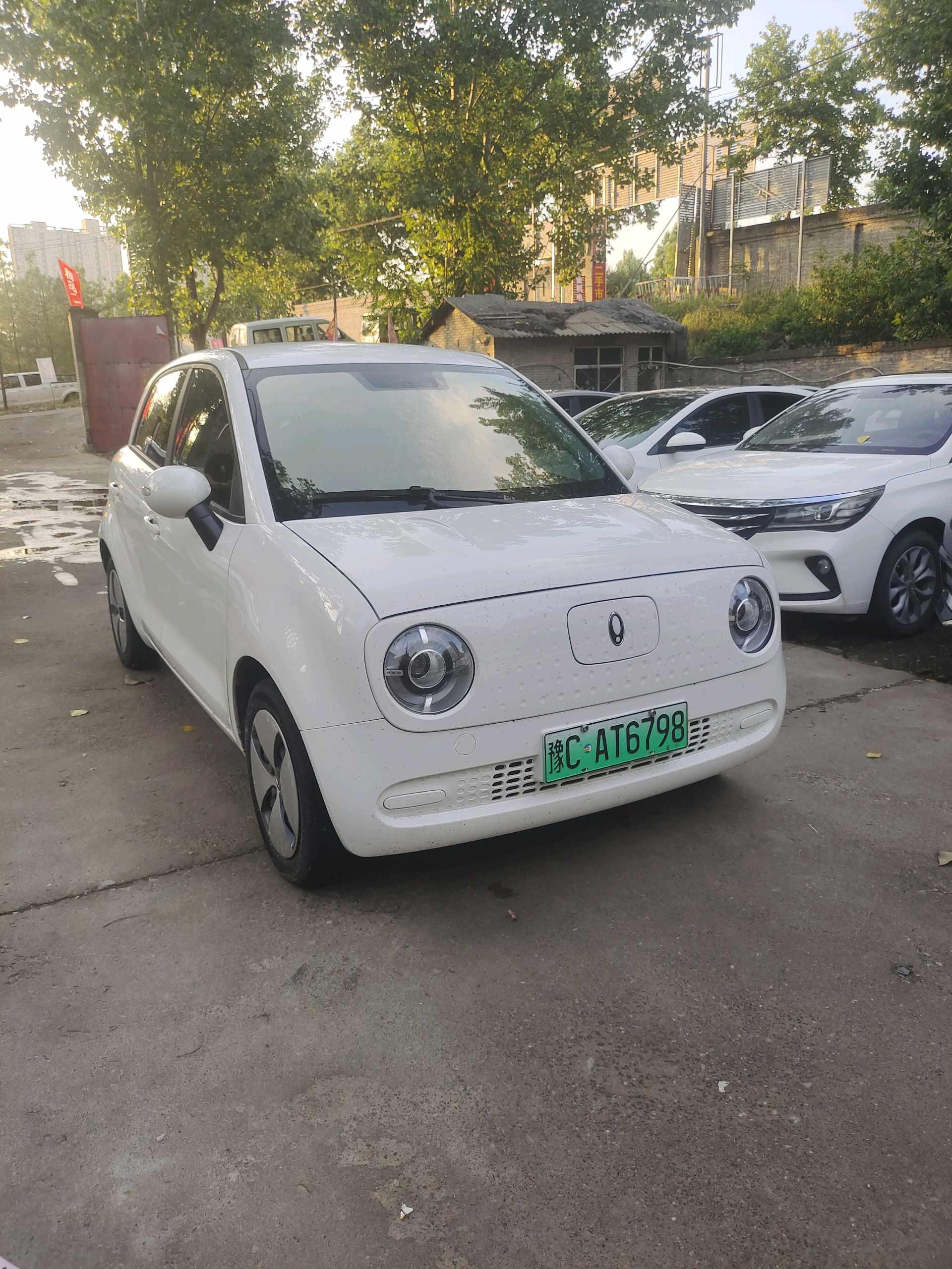 Ora Black Cat 2021 301km Cute Edition 2