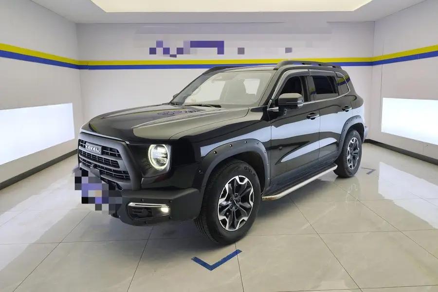 Haval 2024 big dog 2.0T Chinese garden dog version automatic gear