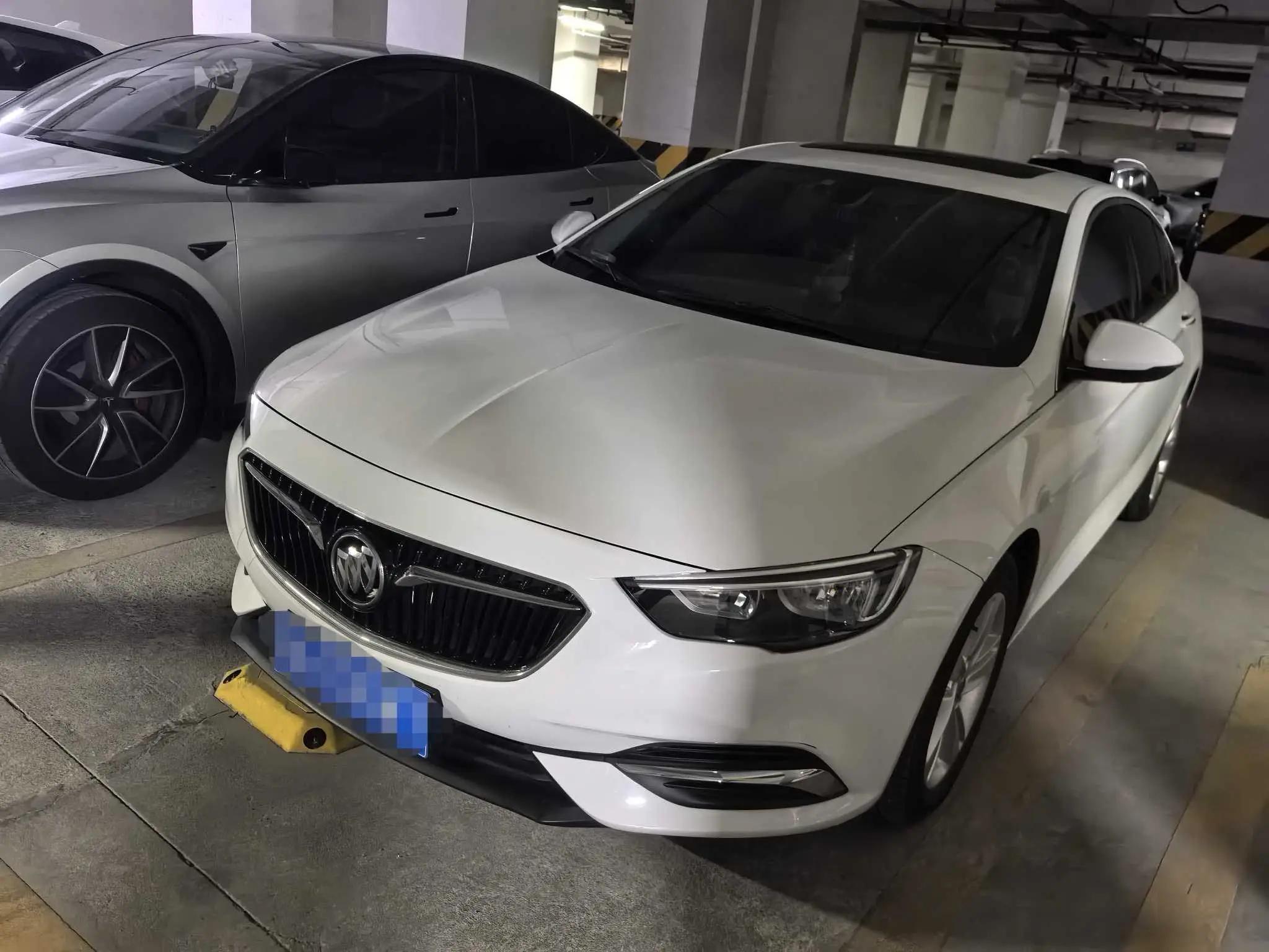 Regal 2019 20T Elite National V